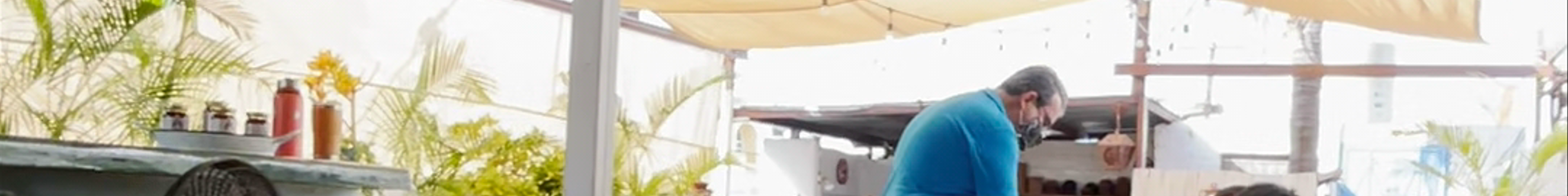 Tours & experiences in San José del Cabo