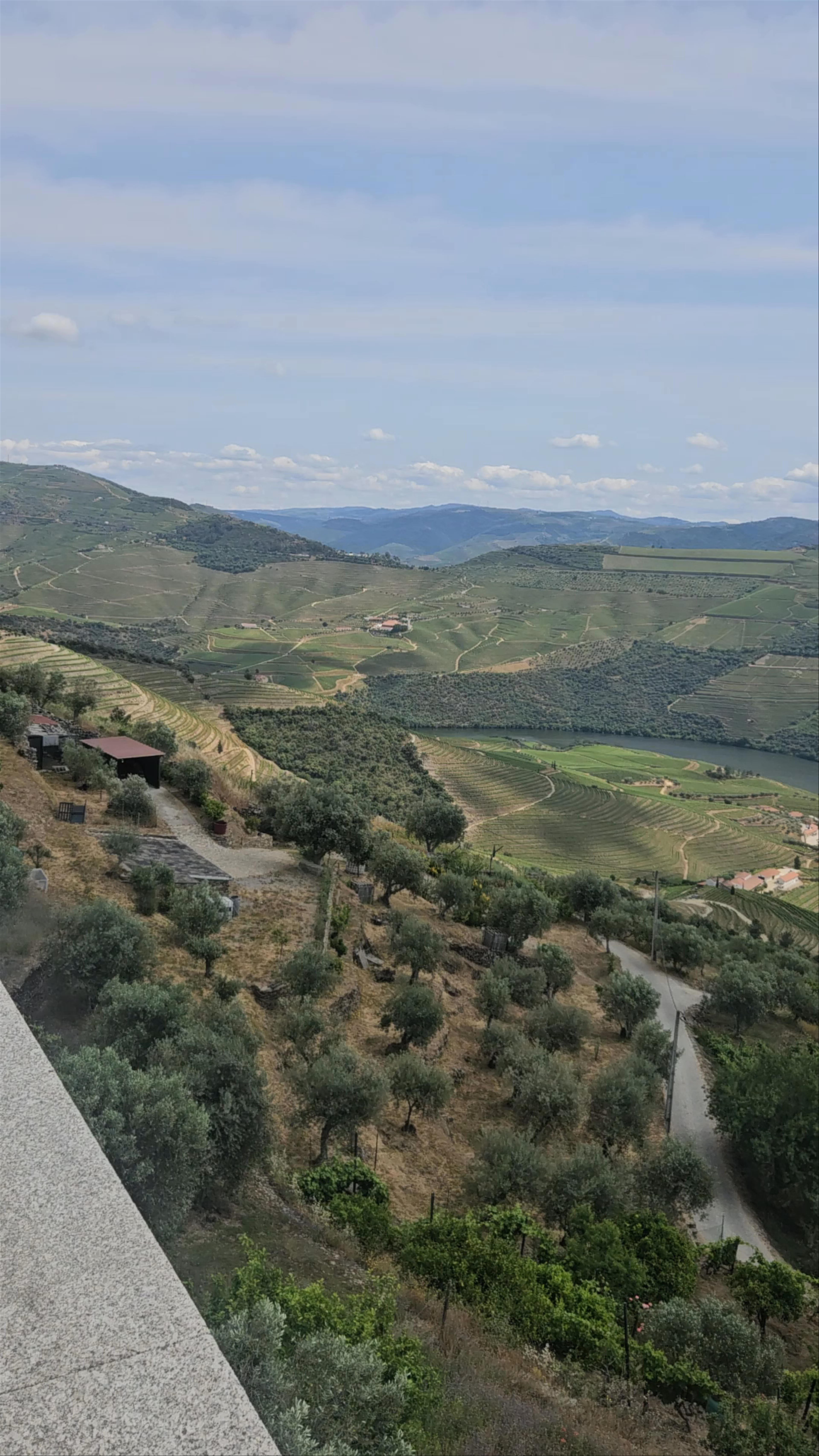 Quinta do Jalloto - Family vineyards