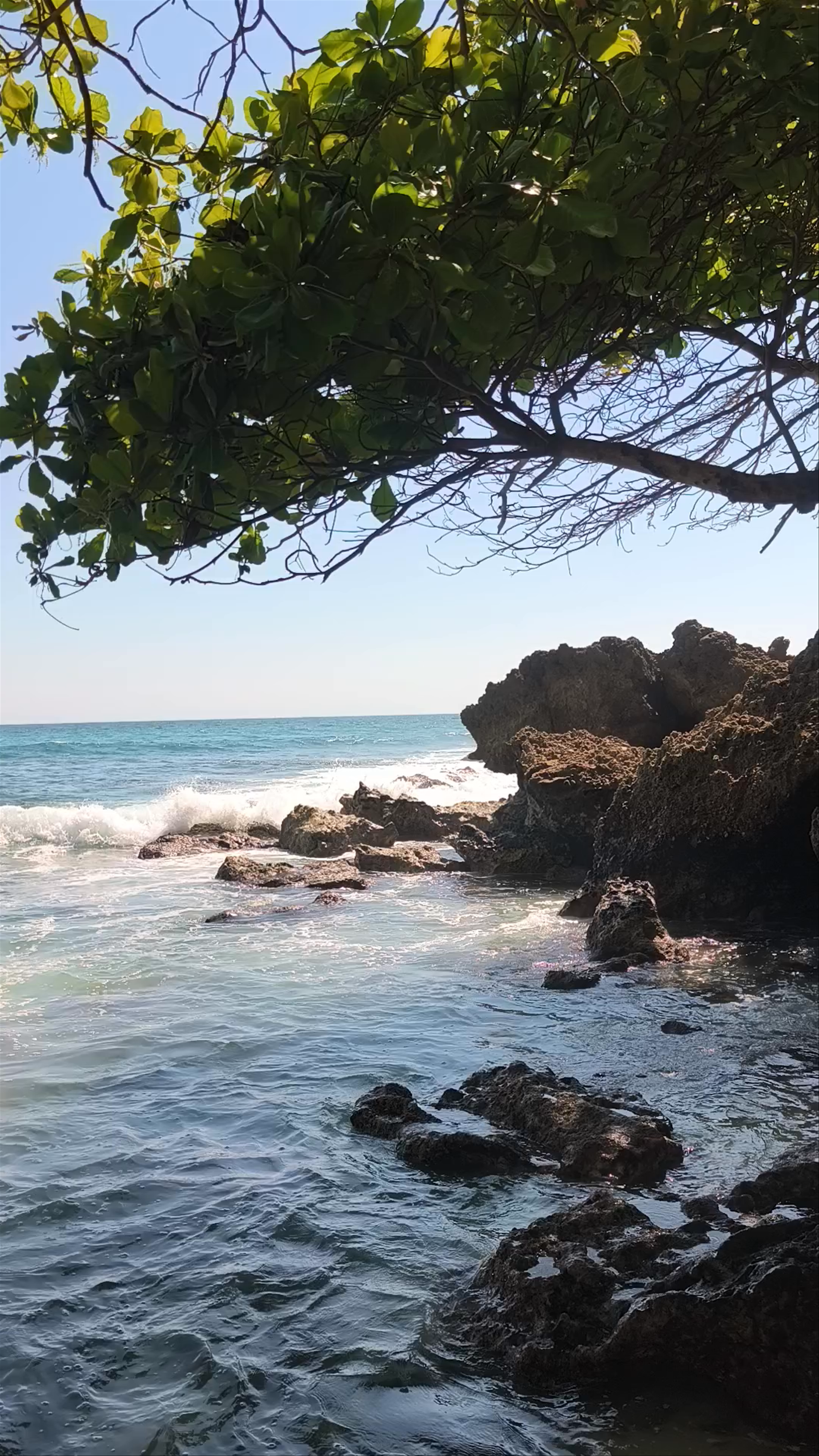 Bahia de los Poetas: Hidden Coastal Serenity in Puerto Escondido