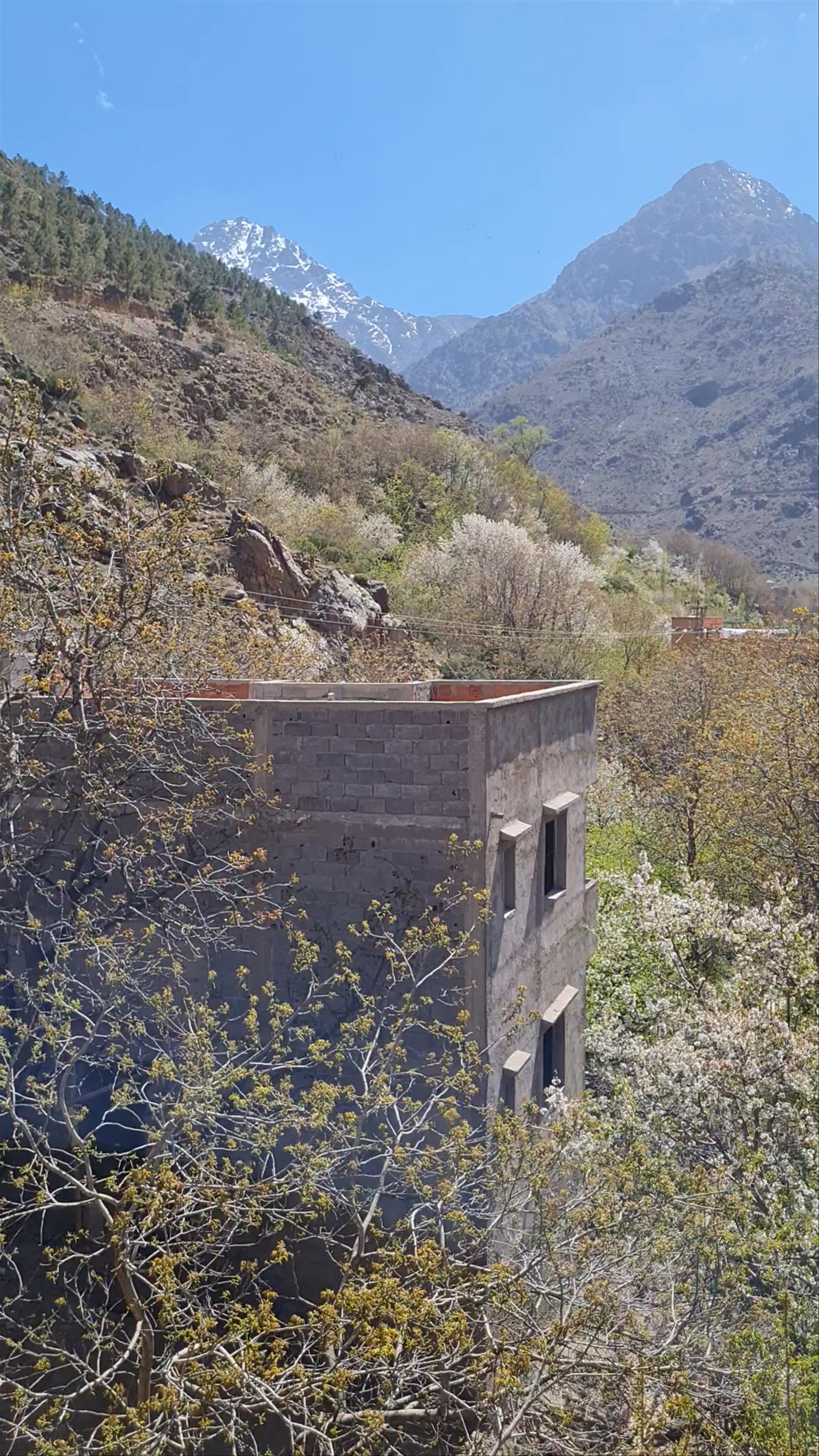 Dar Atlas Restaurant