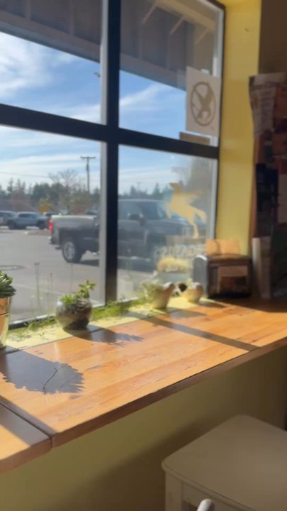 Borrowed Kitchen Bakery - Finished my treat and headed to the bookstore! - Bakeries Near Me - Kingston, Washington