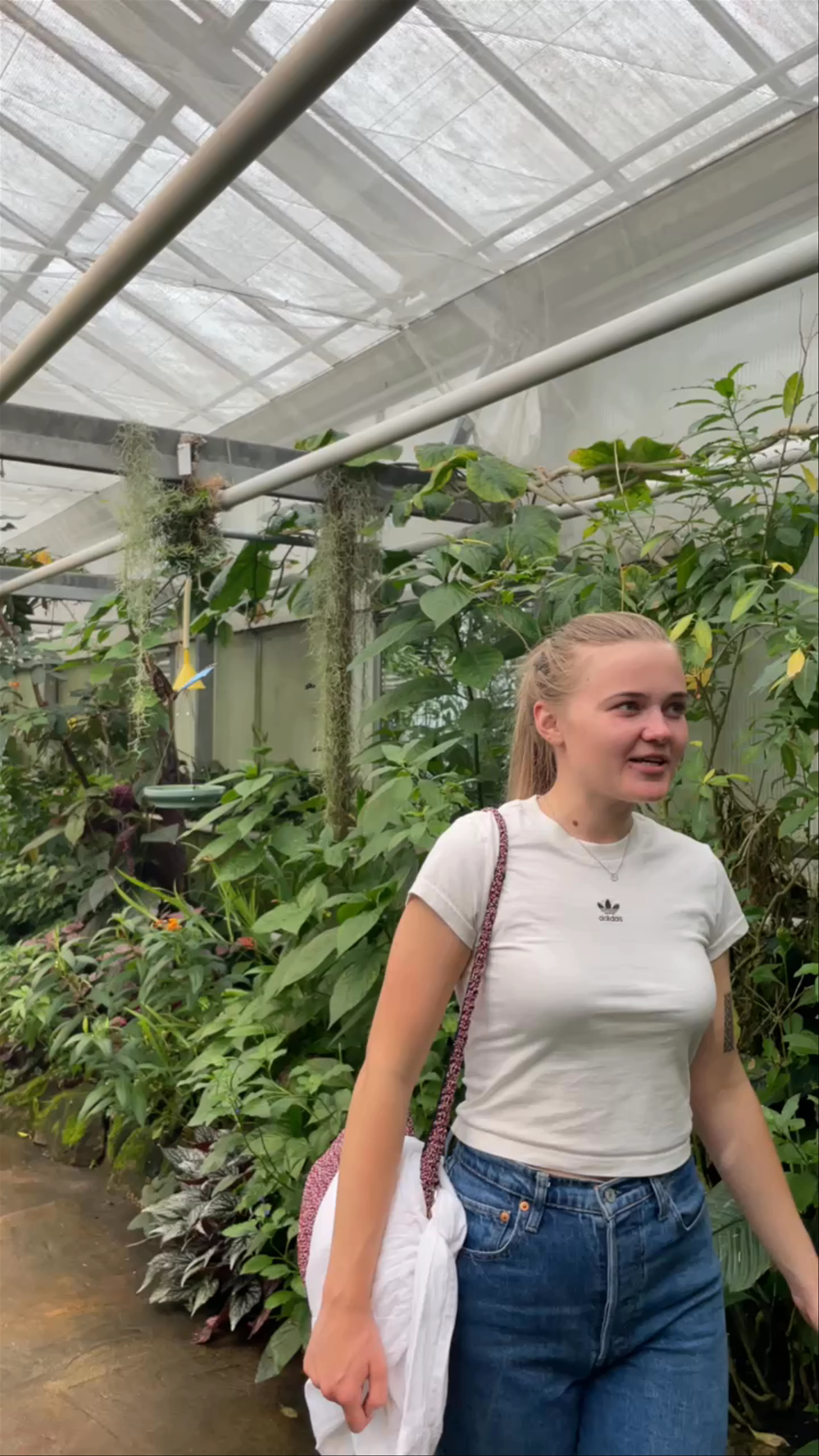 Utrecht Botanic Gardens