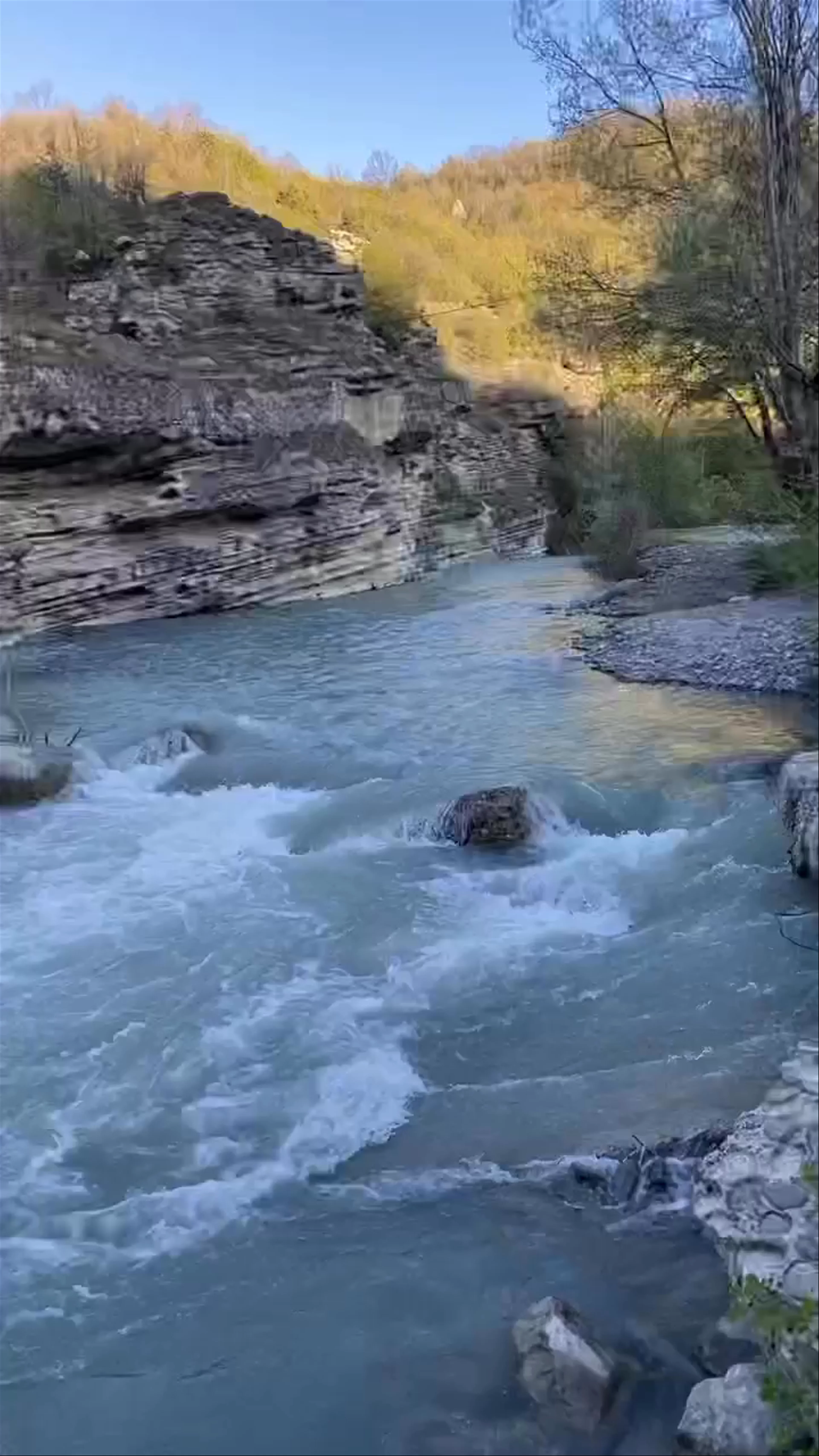 River Party - Nestorio
