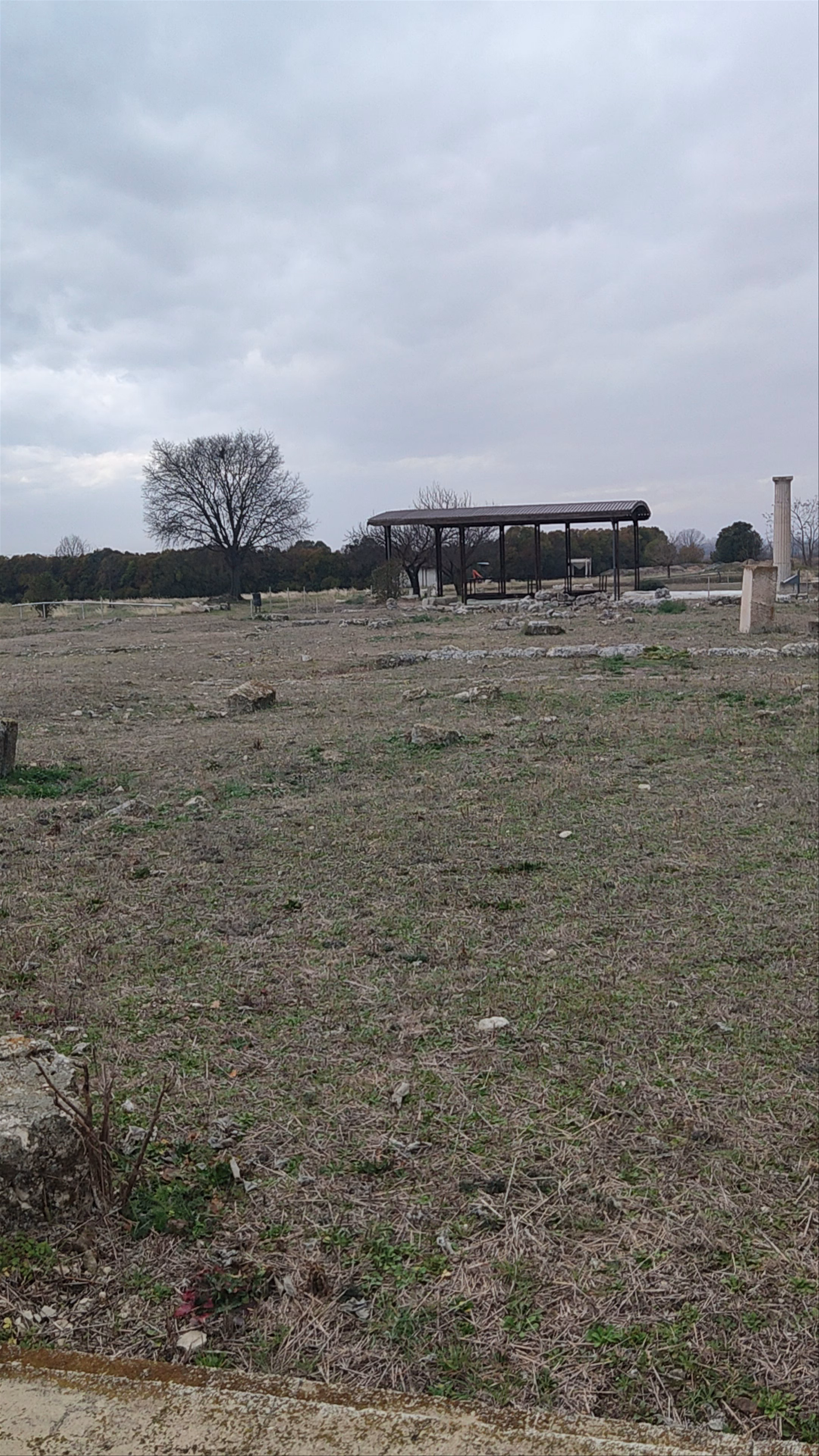 Archeologikos Choros