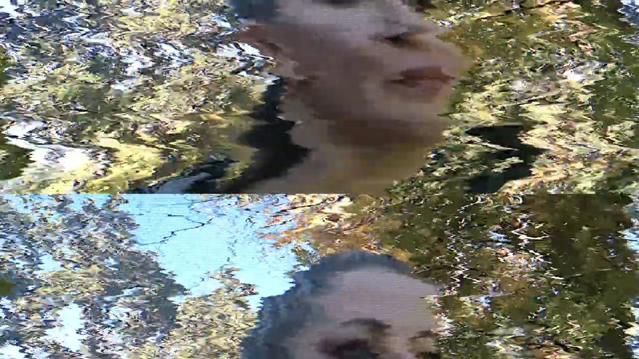 A man in a military-style cap delivers a formal salute outdoors, followed by a woman providing commentary in a wooded setting. The segment captures a respectful and reflective narrative tone.