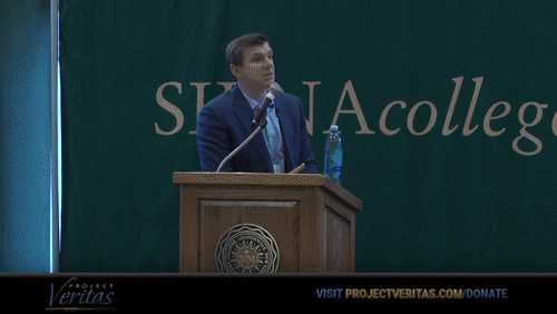 Video Thumbnail Loop