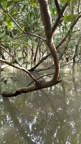 Photo of Into the wild-2: Ins