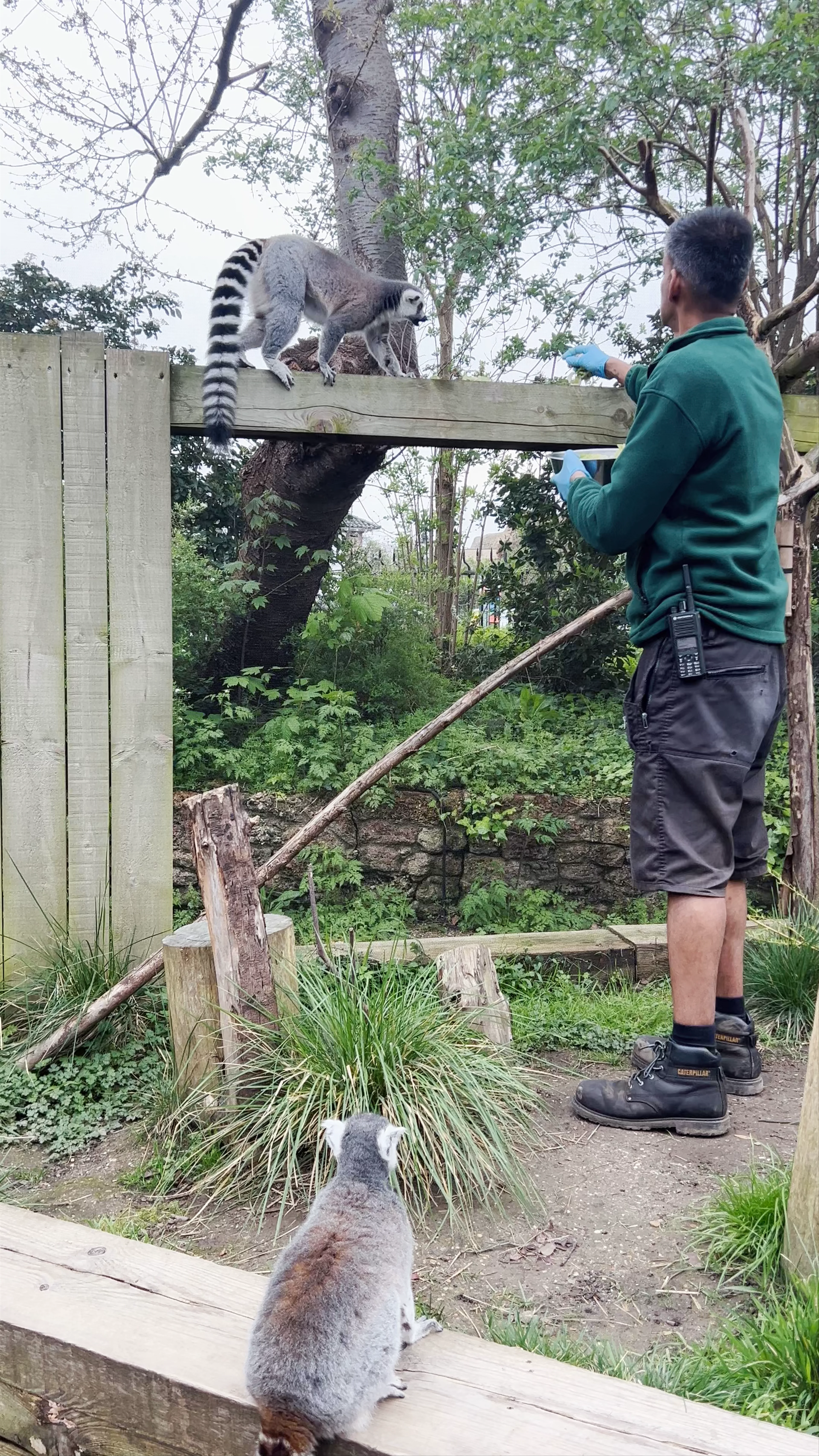 London Zoo
