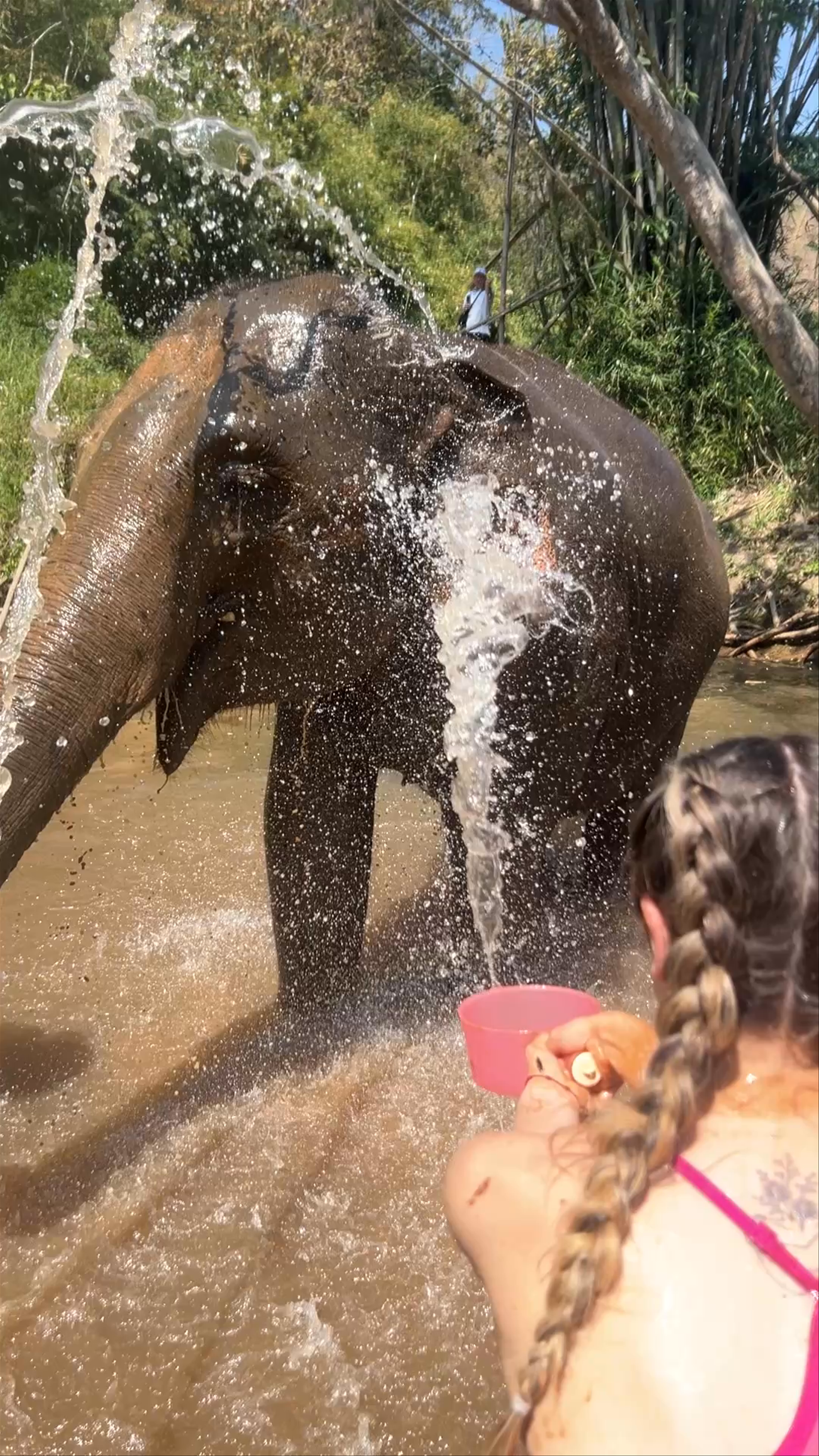 Elephant Camp Chang Wang Pho