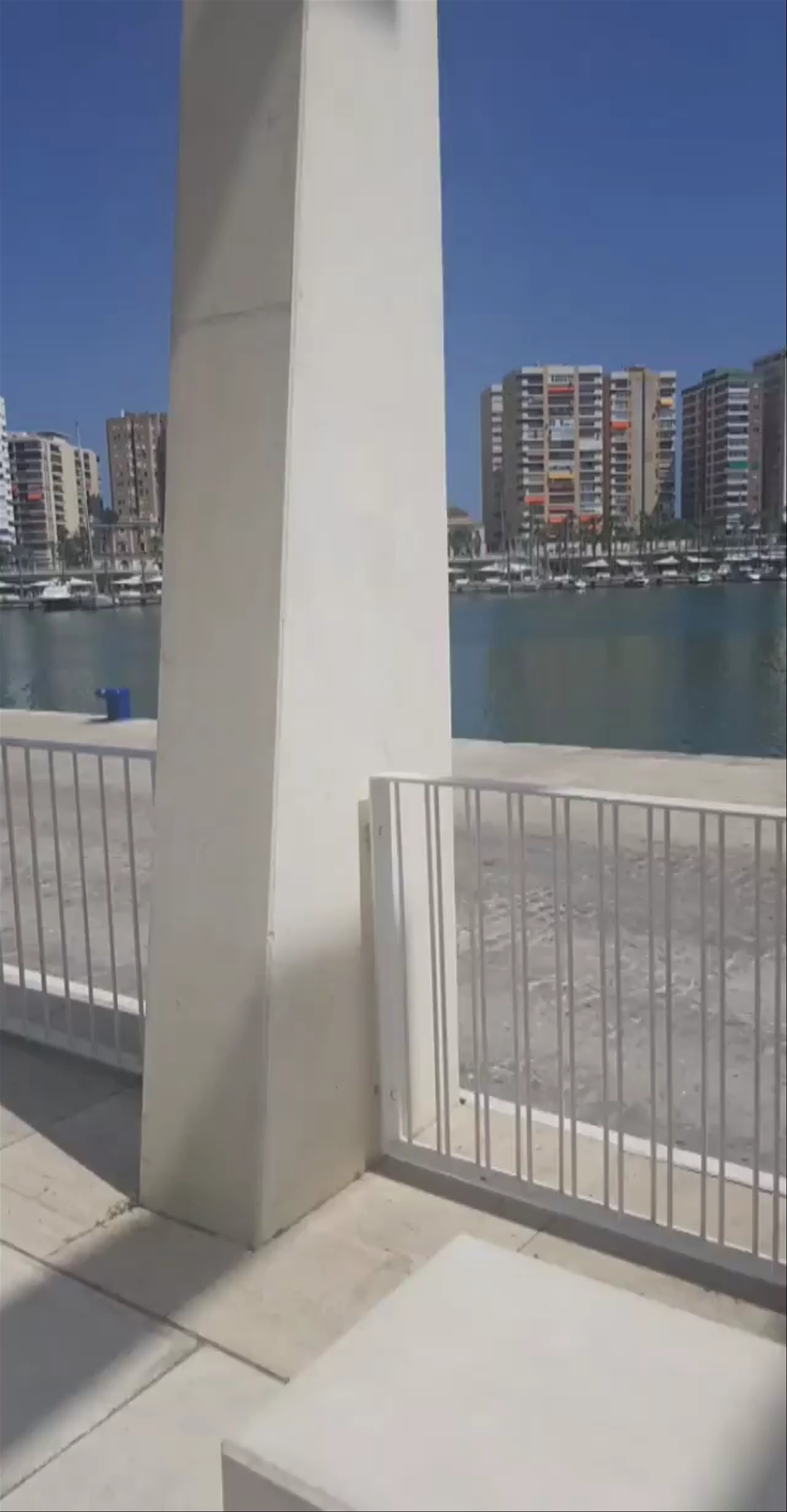 Port of Málaga