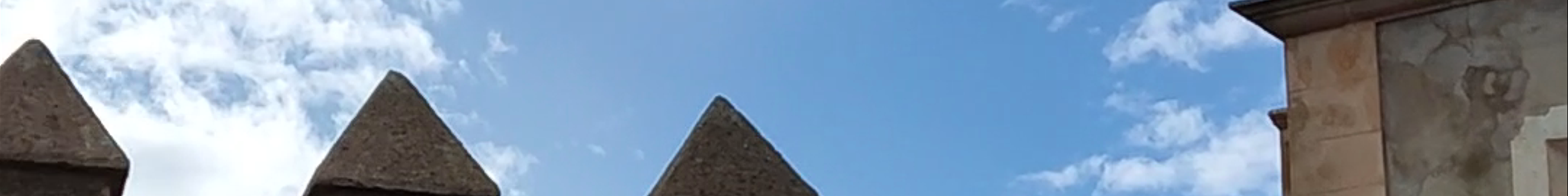 Tours & experiences in Artà