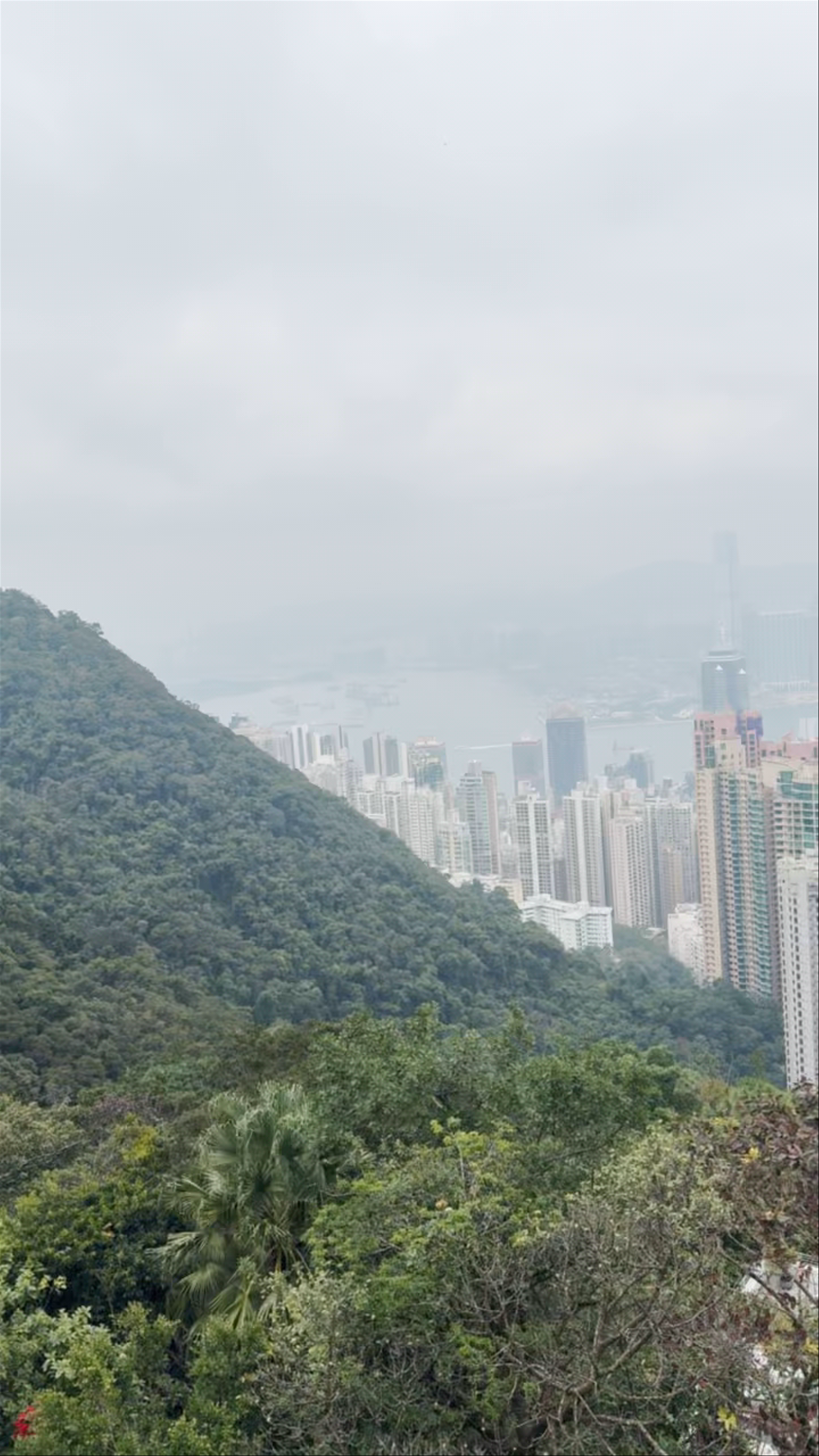 Victoria Peak
