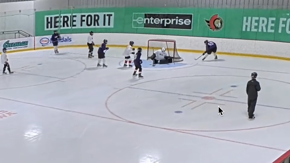 Emily Hughes 2012: Awesome Cross-Crease Shutdown Save