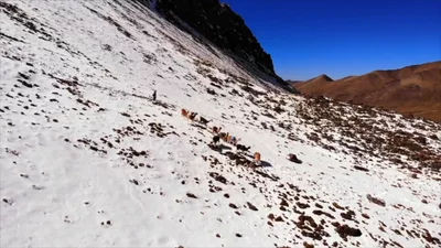 Preview image for video