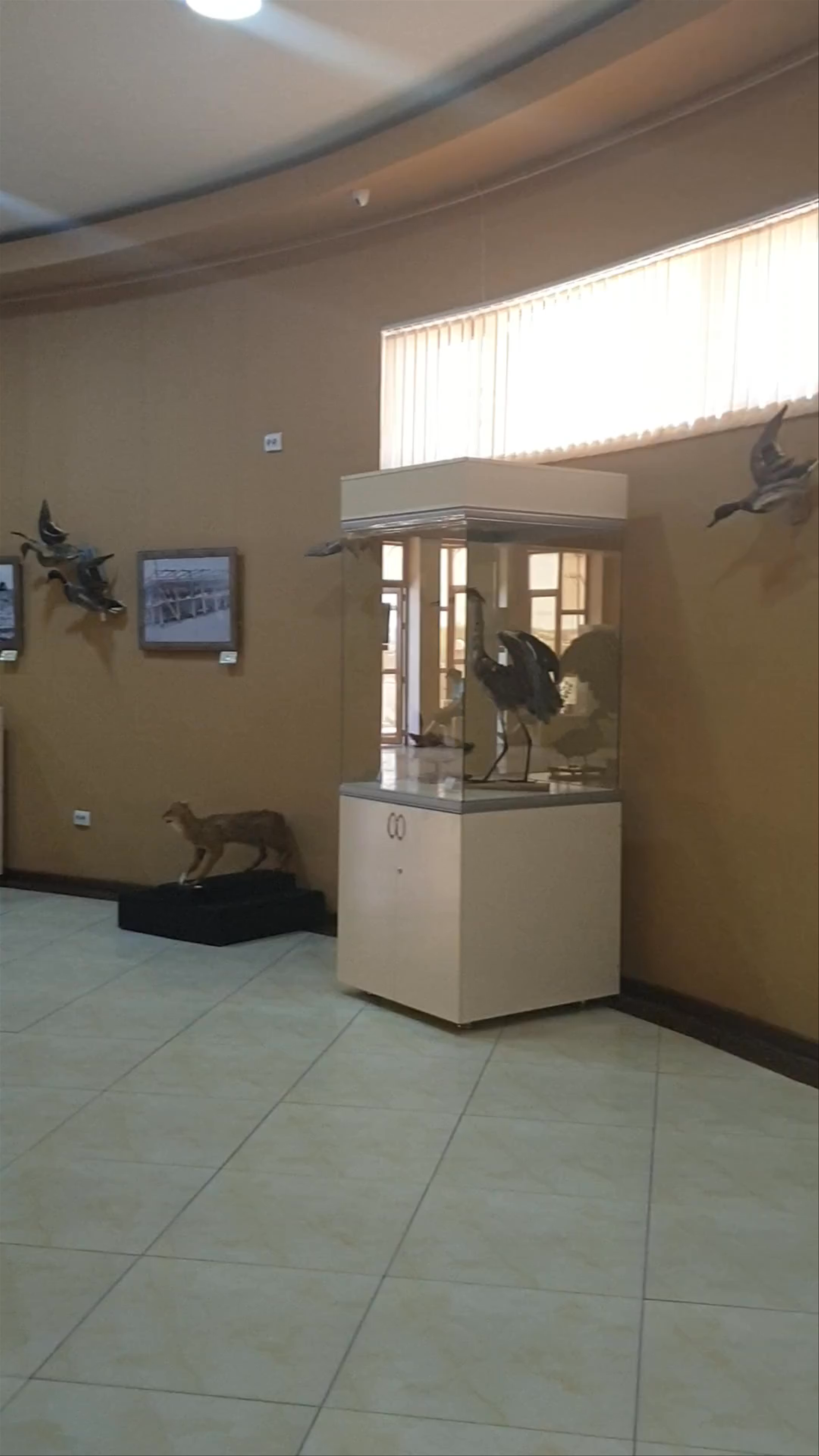 The Regional History and Aral Sea Museum