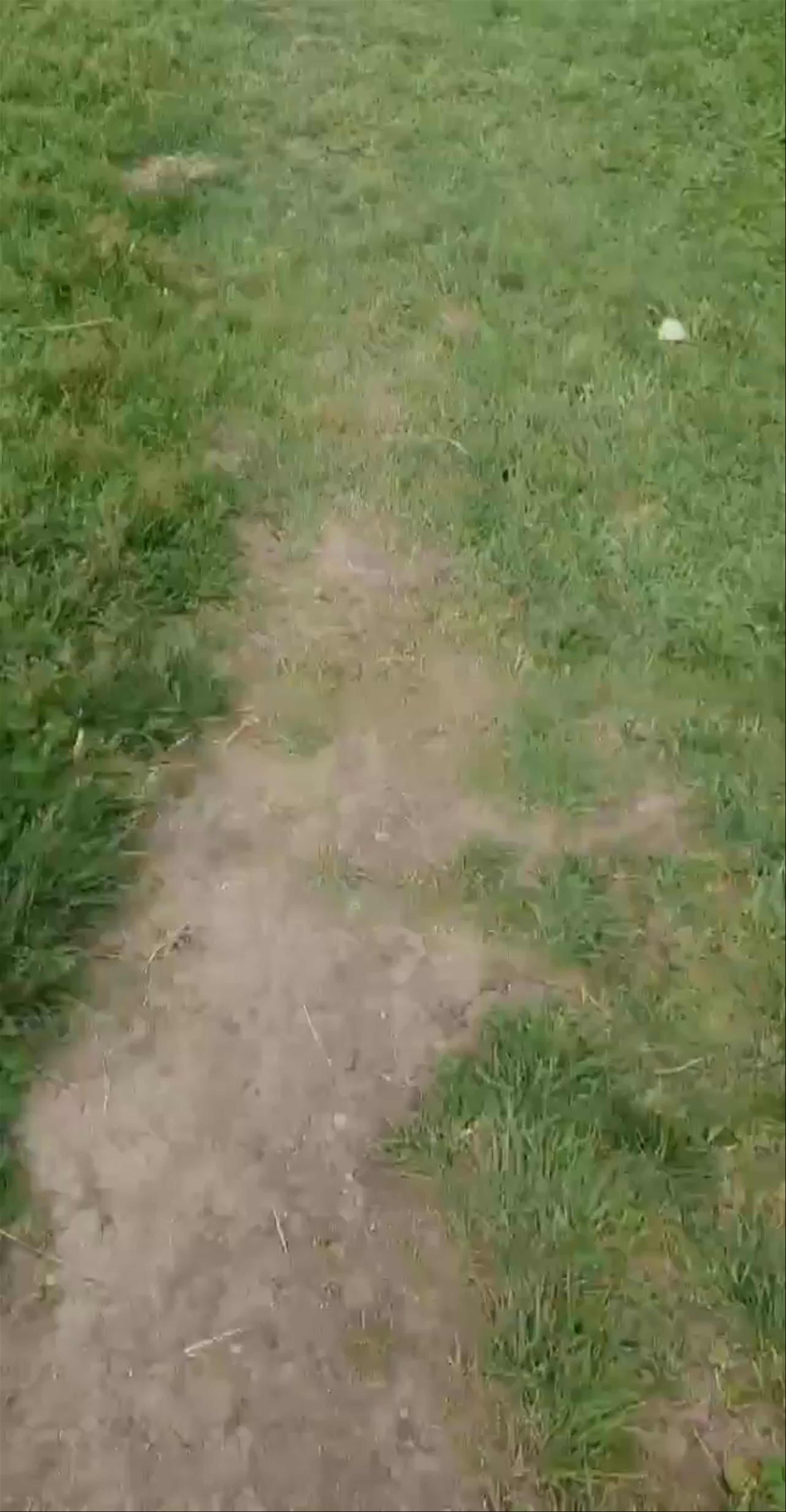 Үлкен Алматы көлі