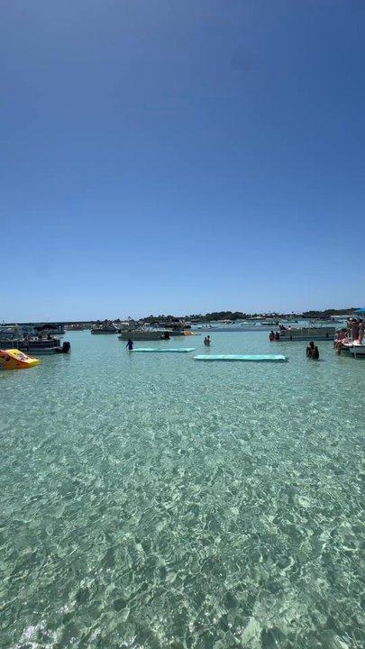 Crab Island - Local Flavor Near Me