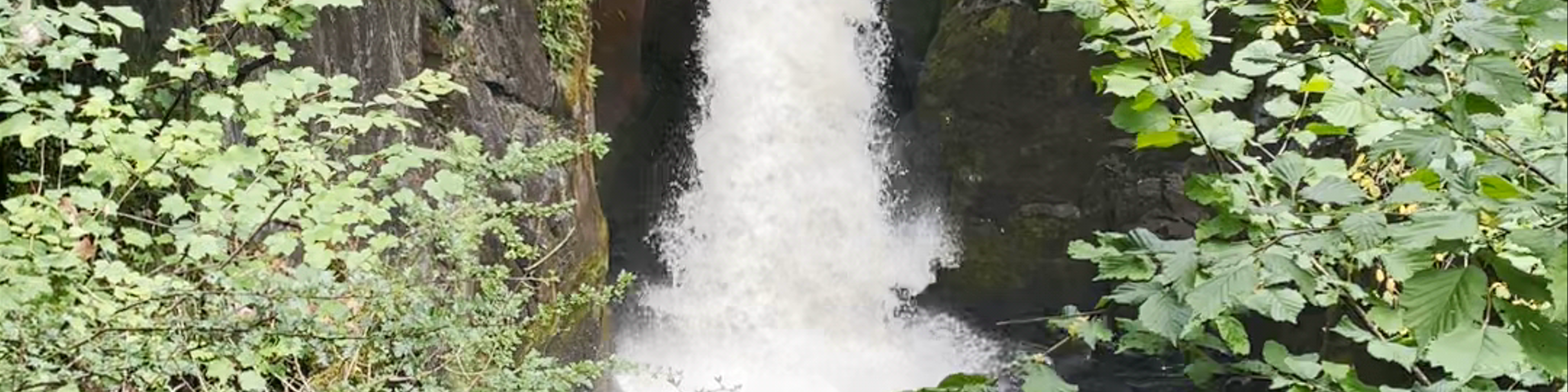 Kendal