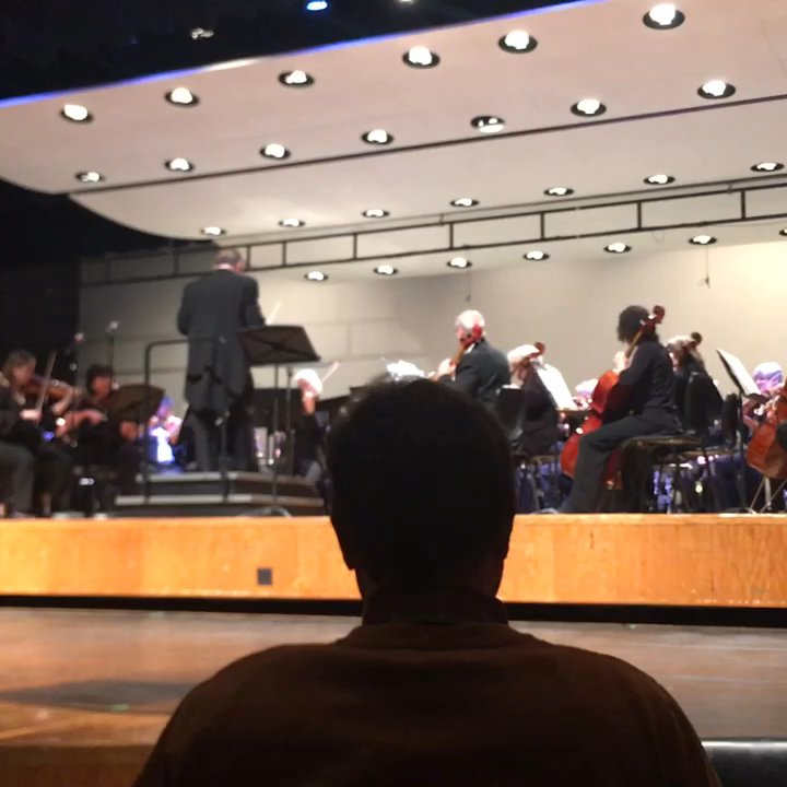 Evanston Symphony Orchestra - Musicians Near Me