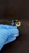 Small image 3
