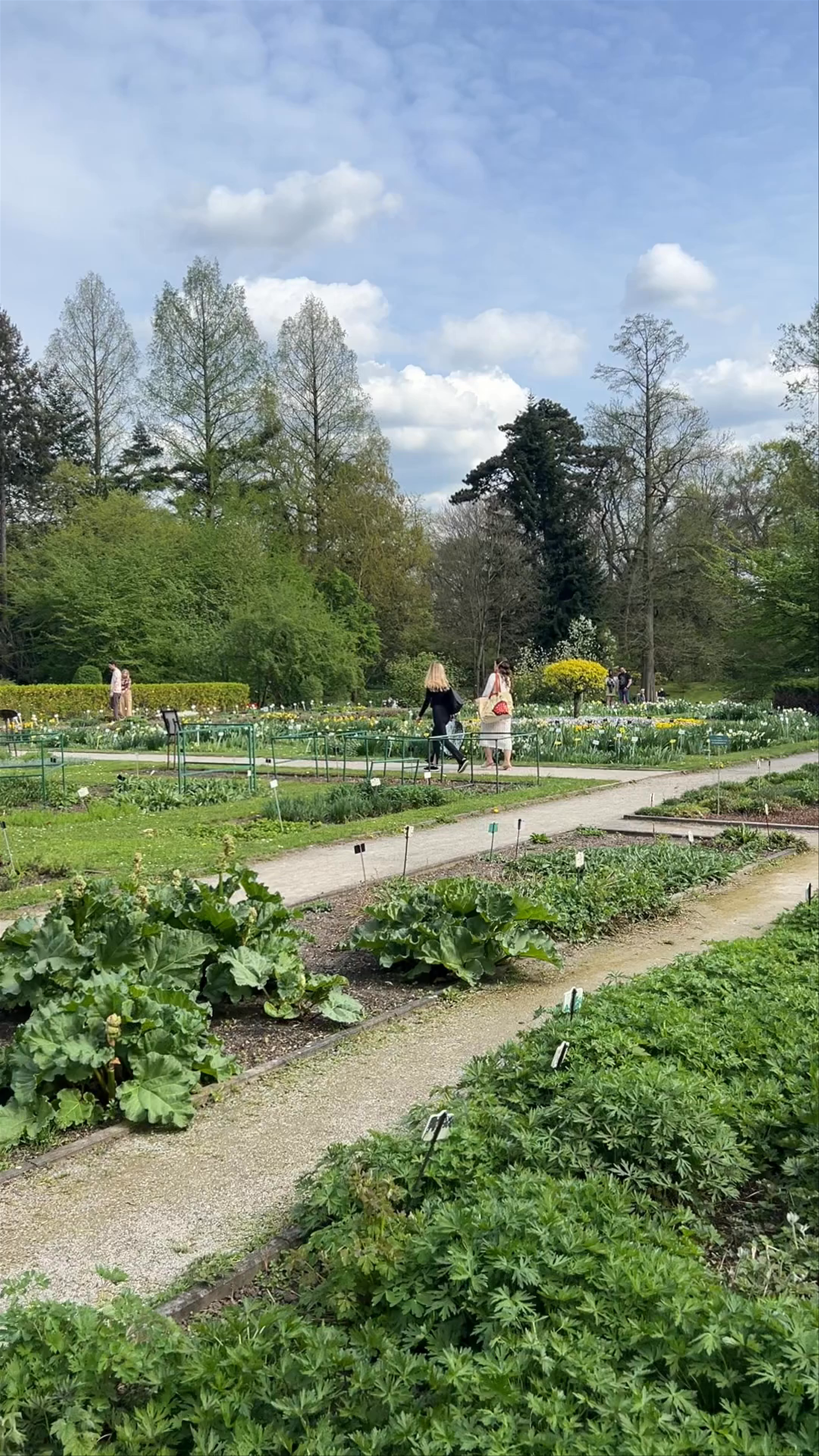 Springtime Serenity at the Botanical Garden of the Jagiellonian University in Kraków