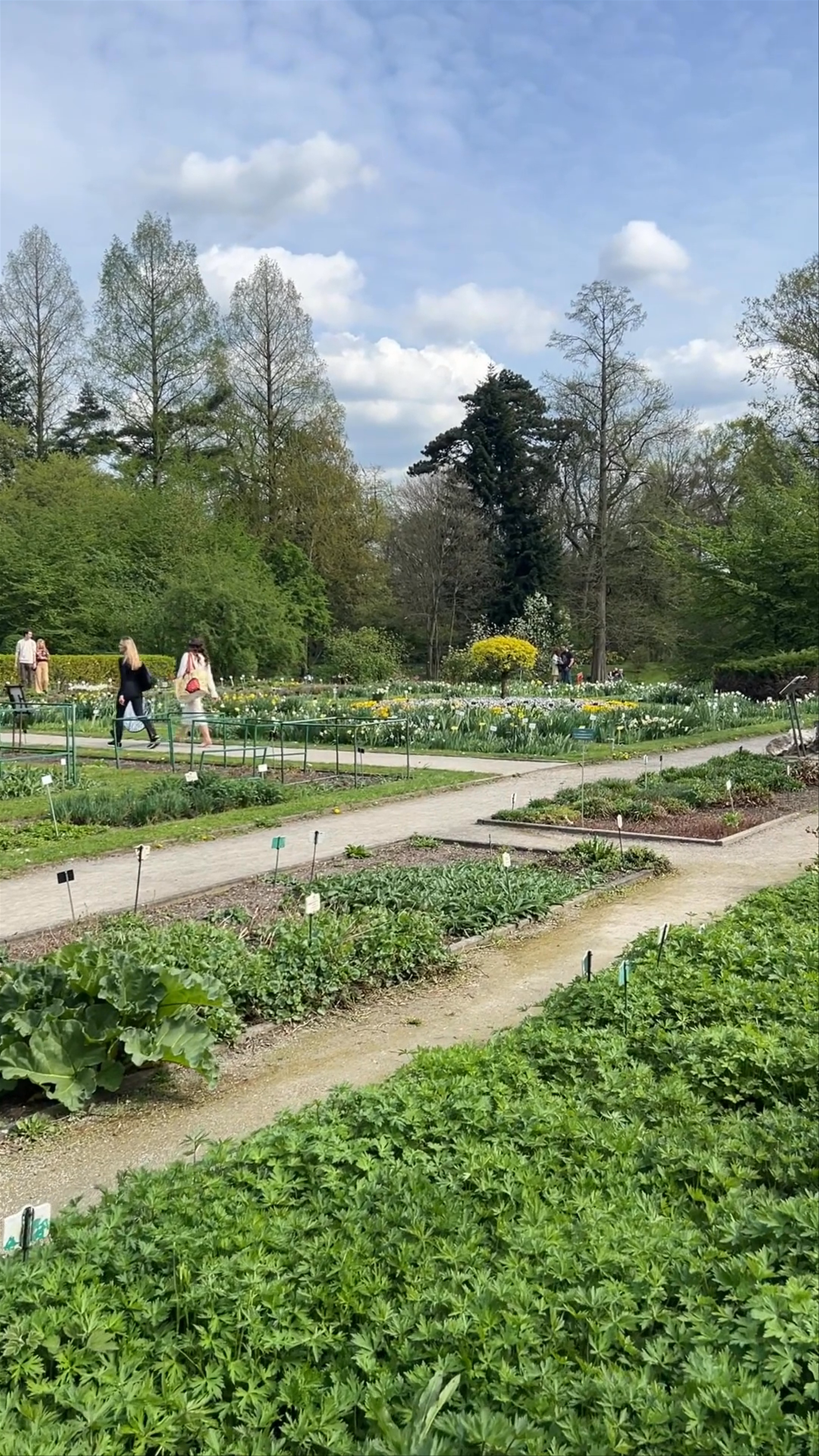 Botanical Garden of the Jagiellonian University