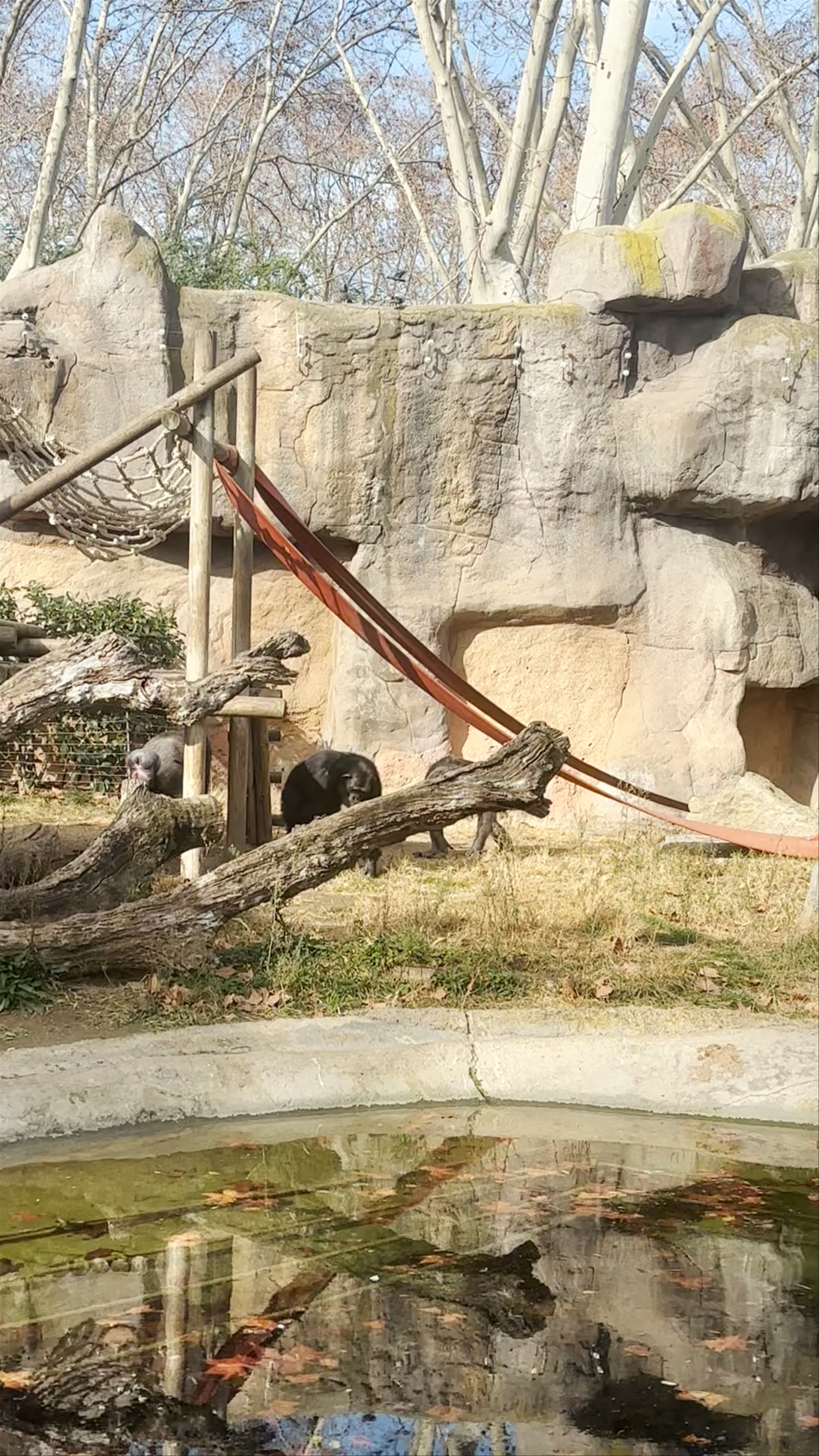 Barcelona Zoo