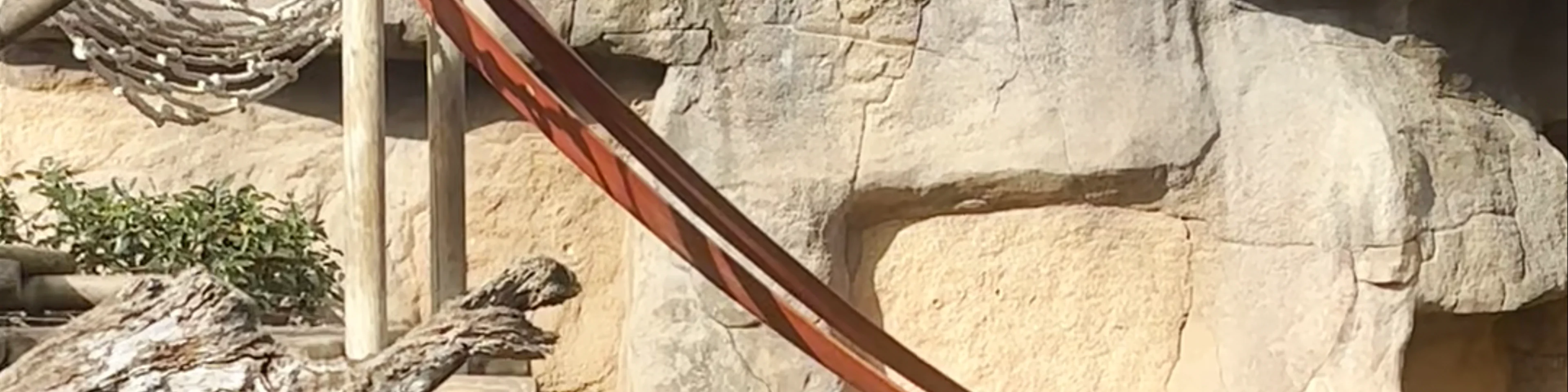 Barcelona Zoo