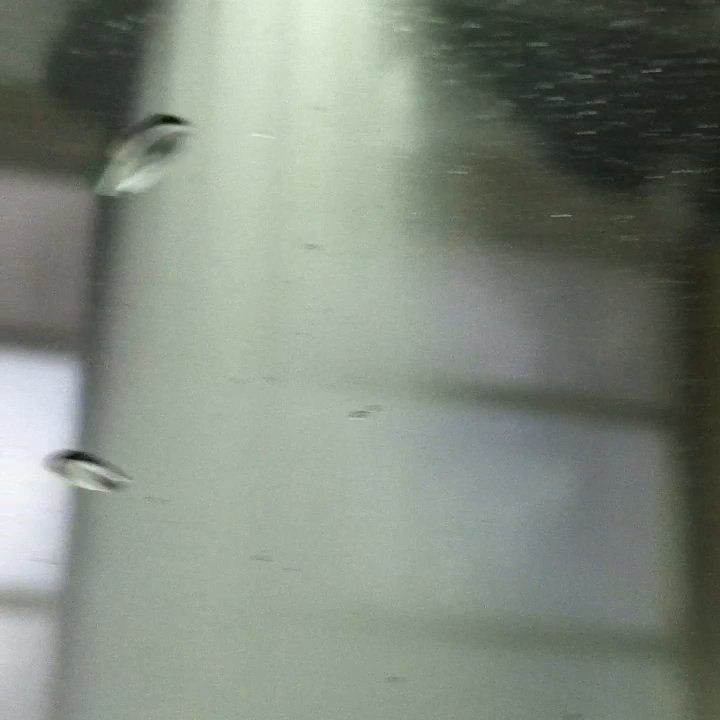 Exxon - Washing process ($13 ultimate wash) - Gas Stations Near Me - Fairfax, Virginia