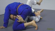 Knee Cut Counter