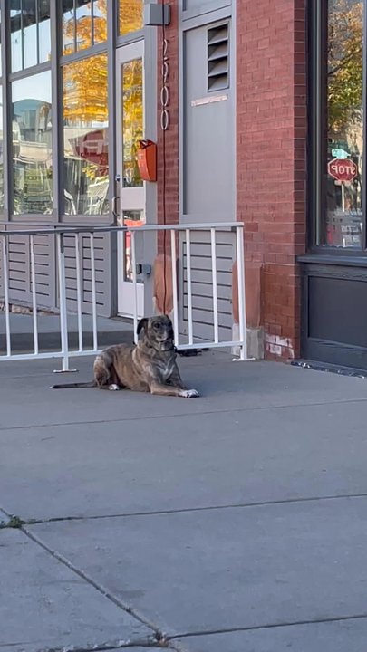 2914 Coffee - Coffee & Tea Near Me - Denver, Colorado