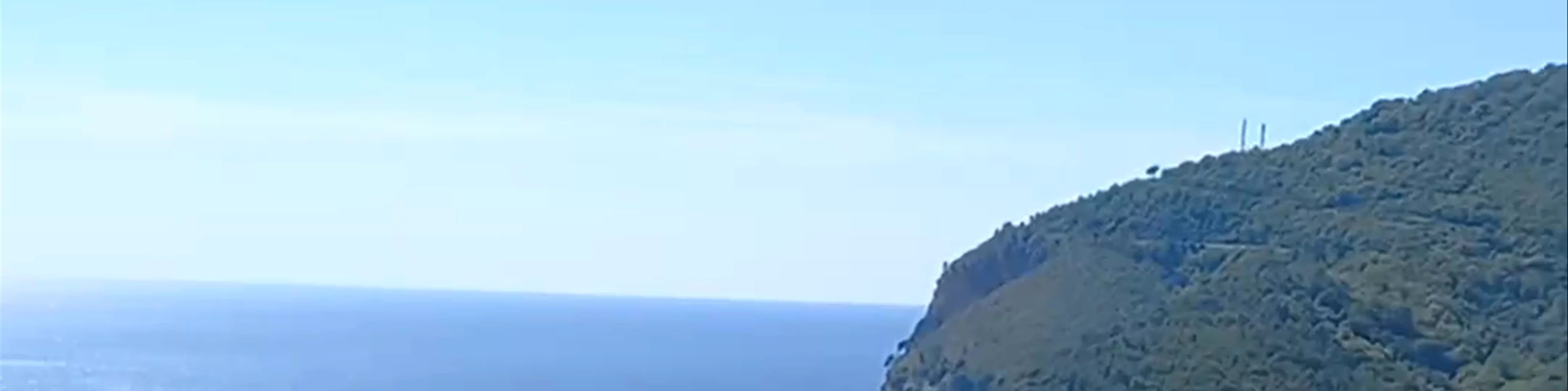 Zvezda Viewpoint