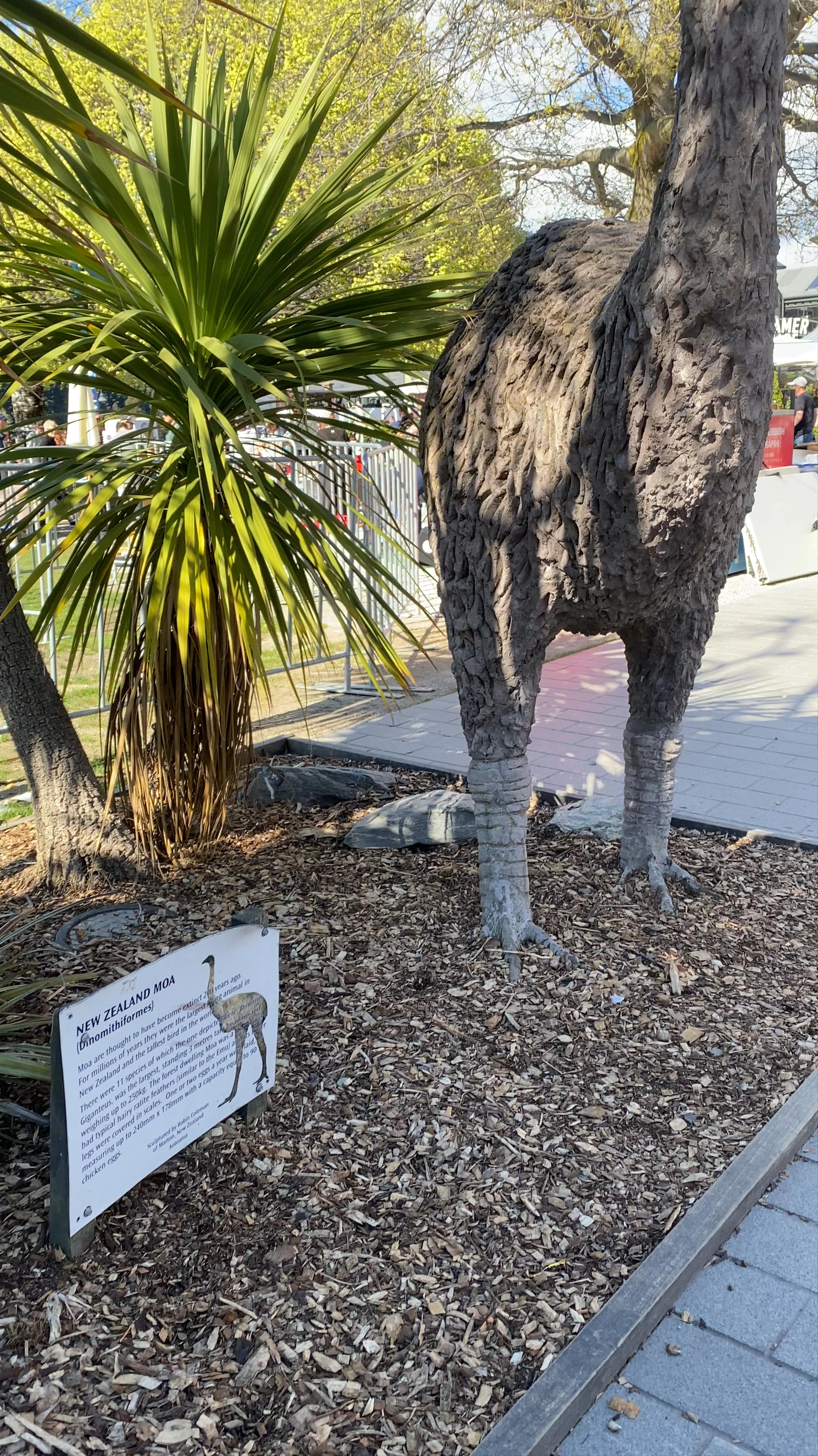 Queenstown Wharf Walk