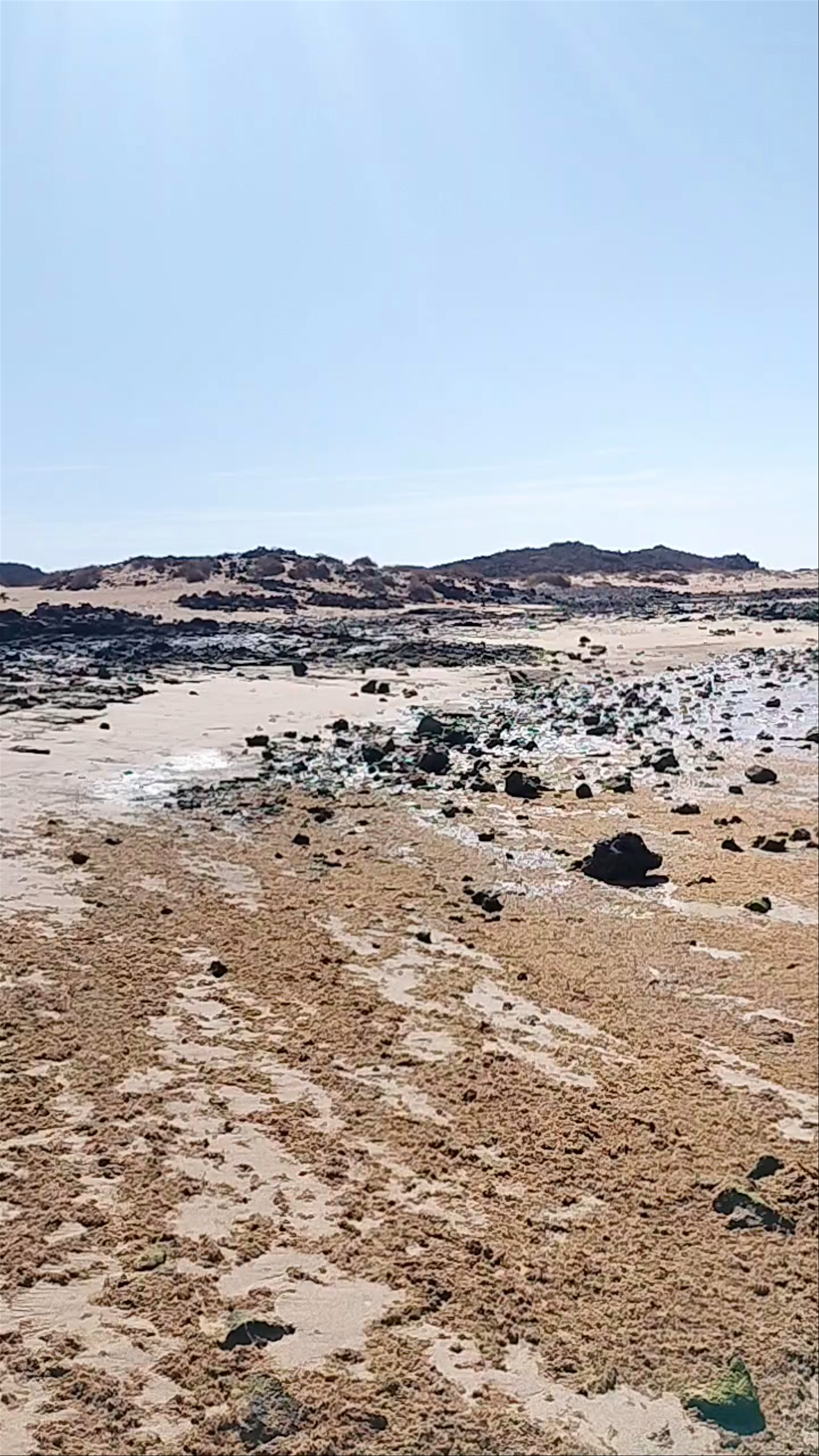 Discover the Untouched Shores of Isla de Lobos, Spain
