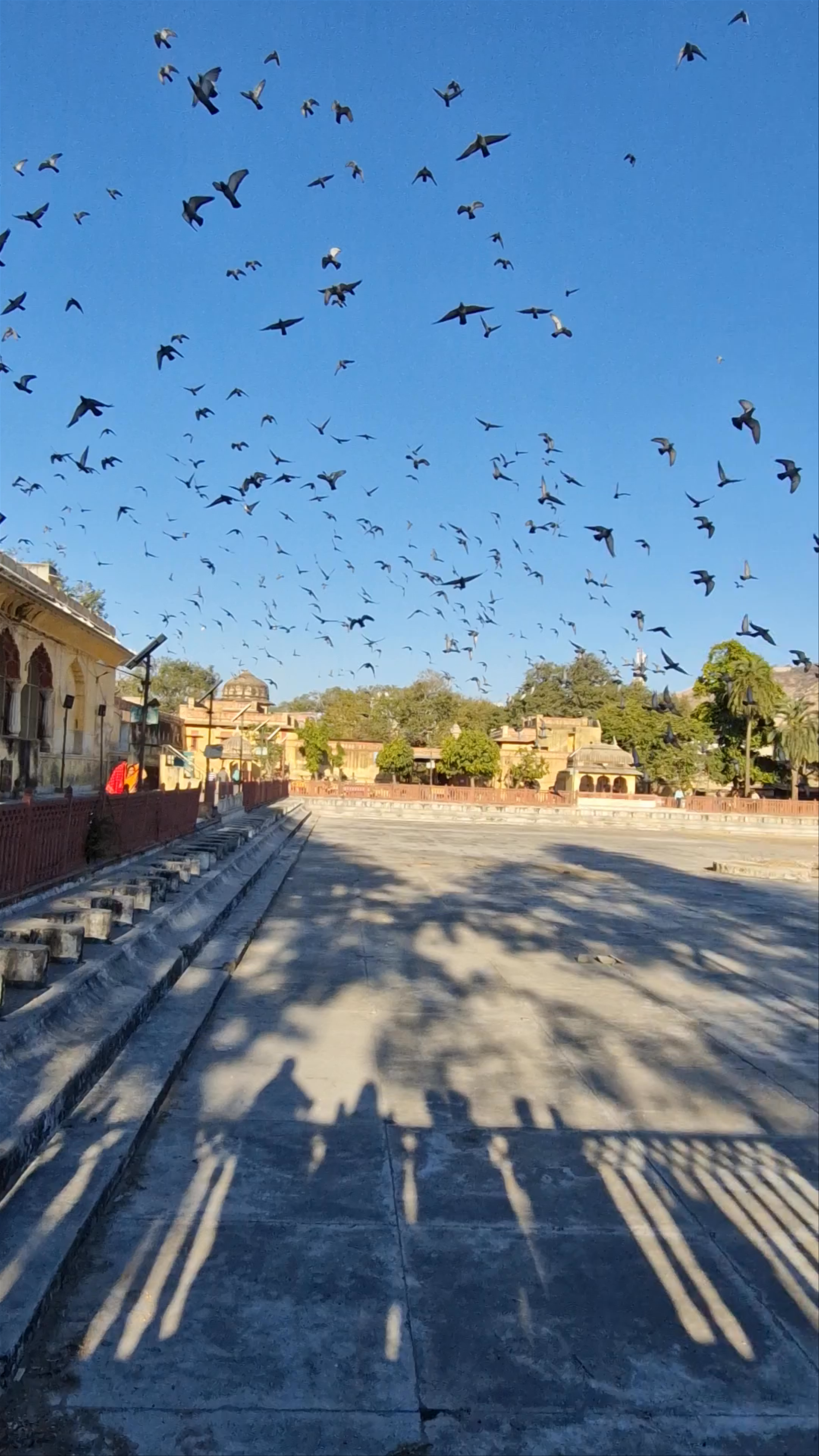 Jai Niwas Garden: Tranquil Escape in Historic Jaipur