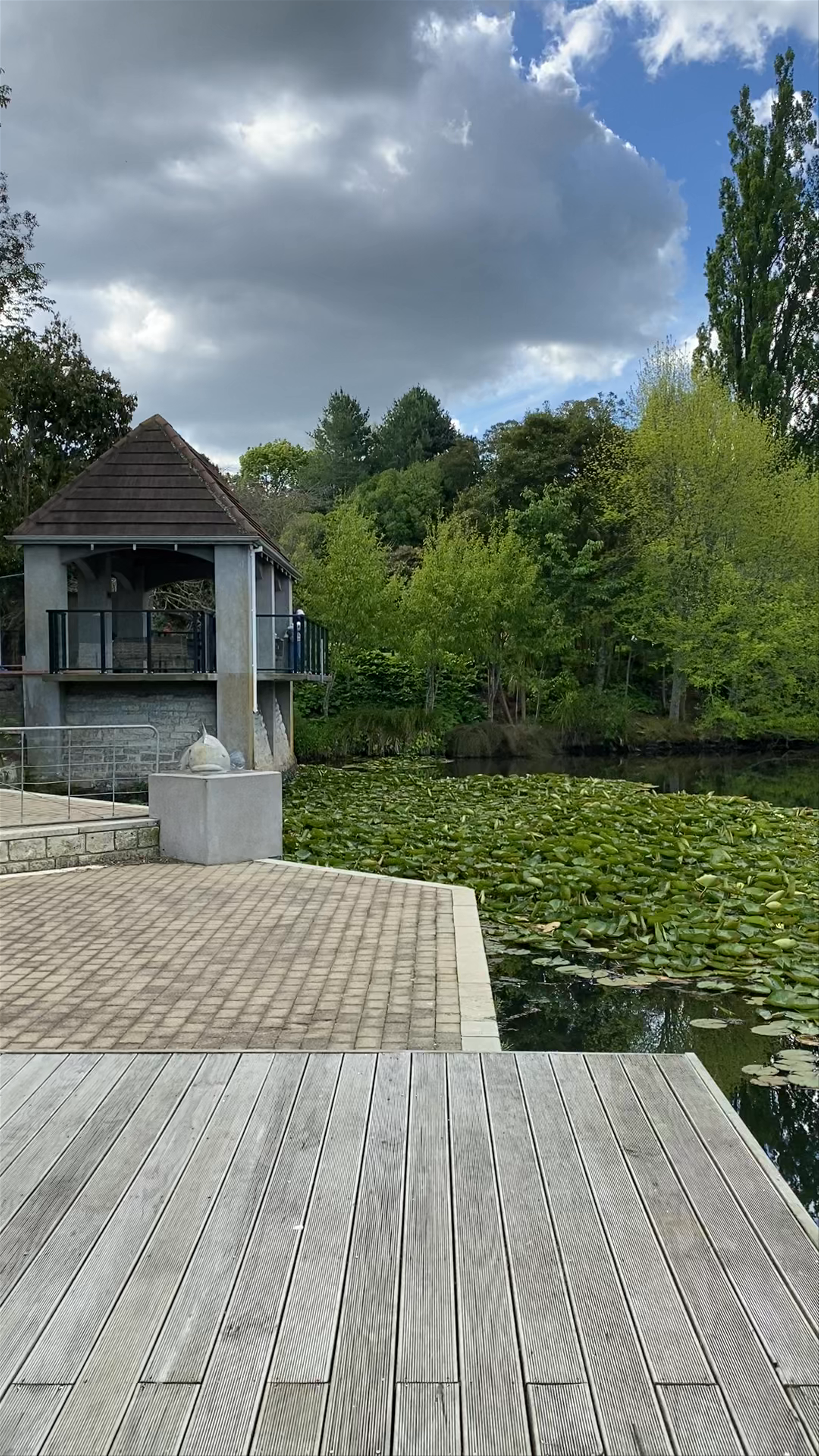 Serene Reflections at Hamilton Gardens, New Zealand