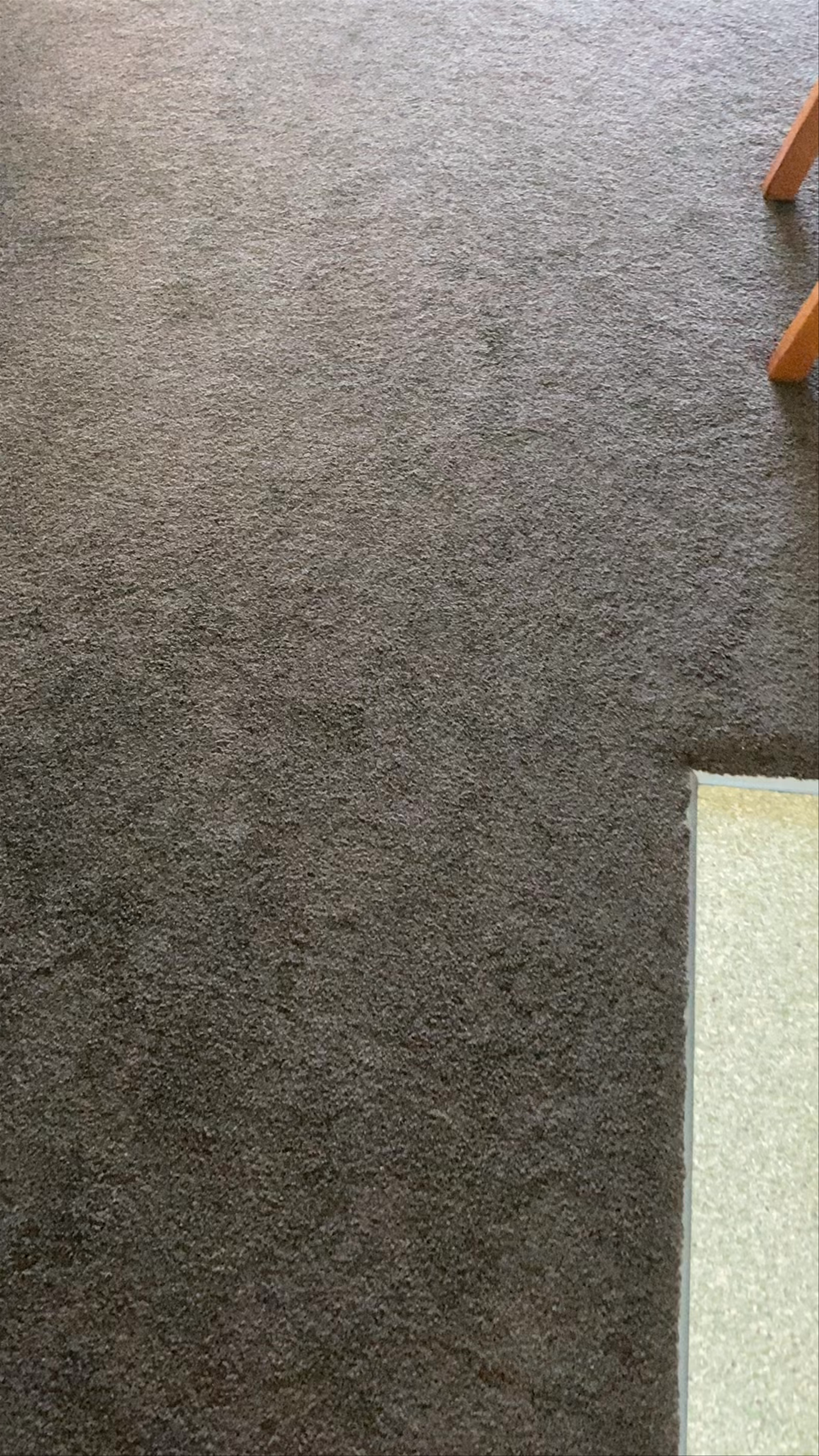 The Anchor Inn Beachfront Motel Kaikoura