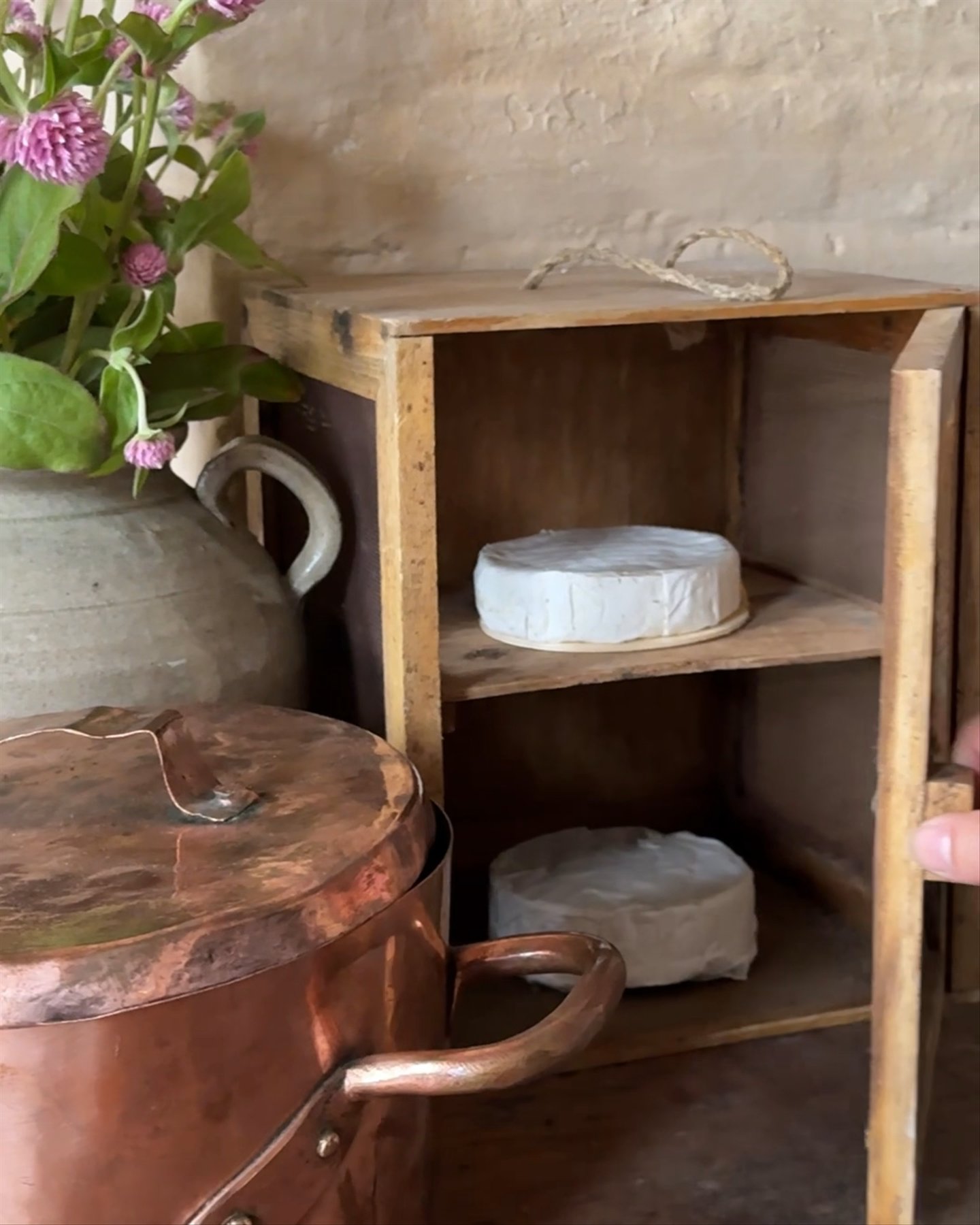 French Cheese Safe