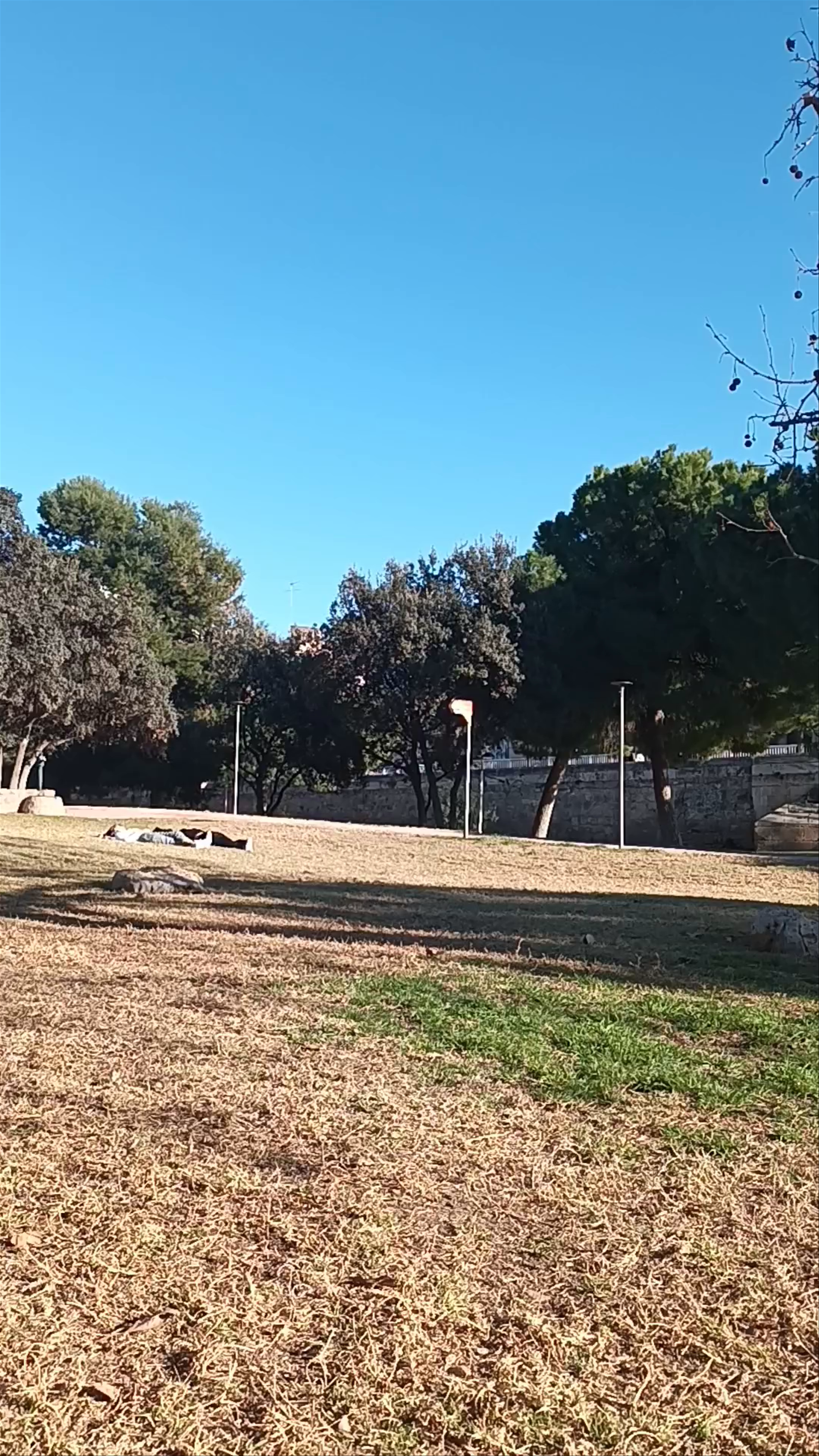 Relaxing Sunshine Moments at Turia Garden, Valencia