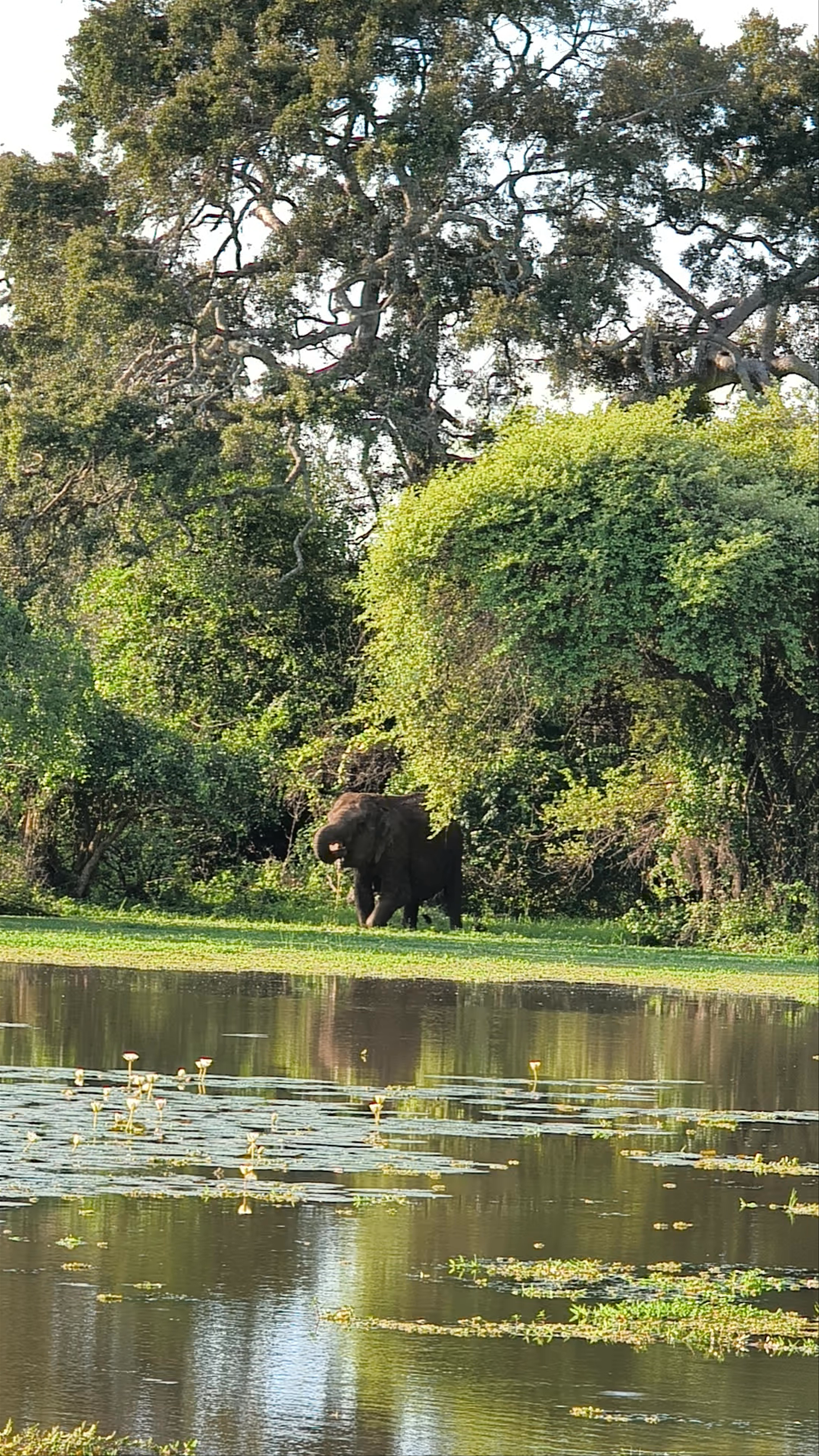 Yala National Park