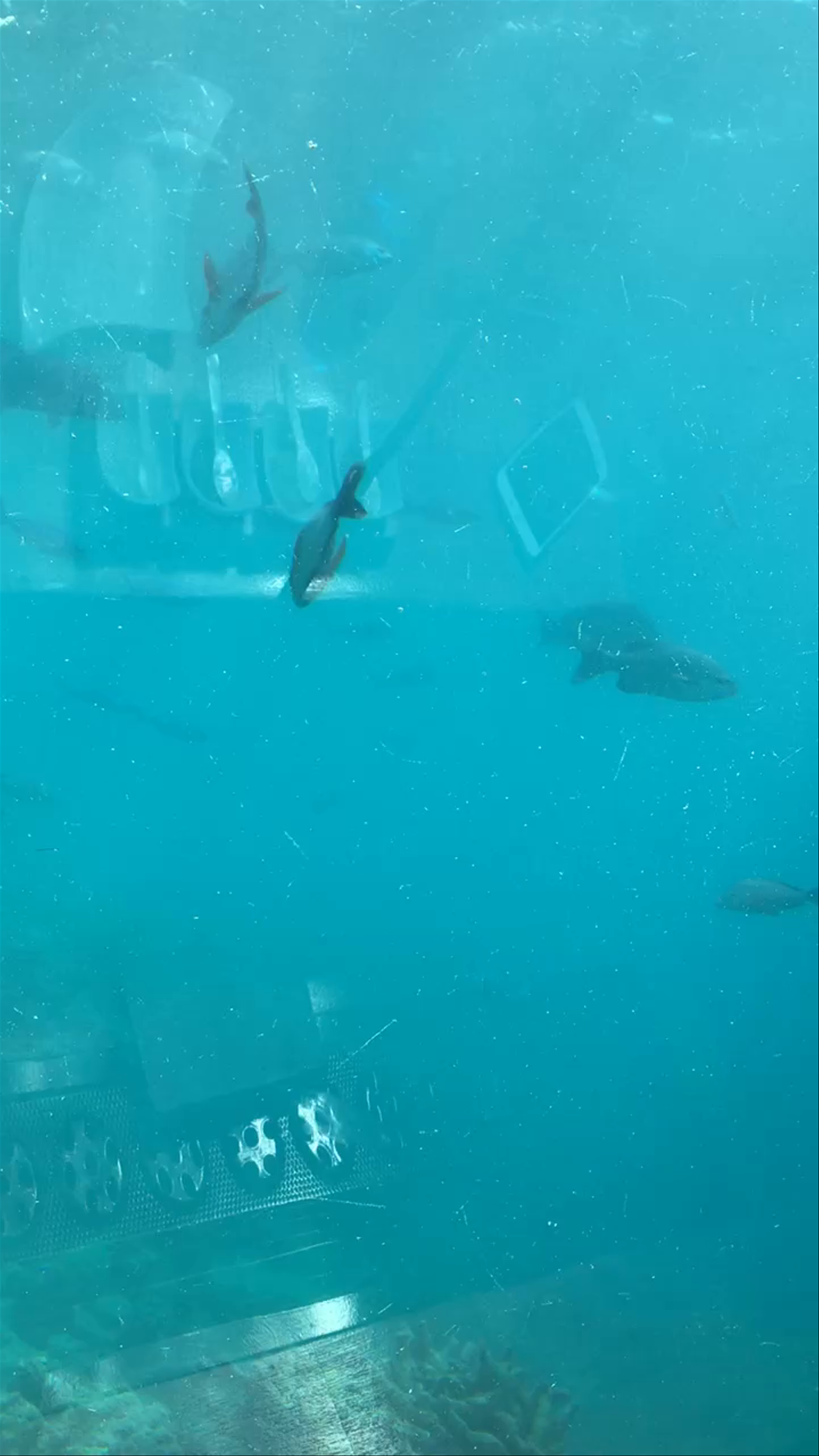 Conrad Maldives Rangali Island