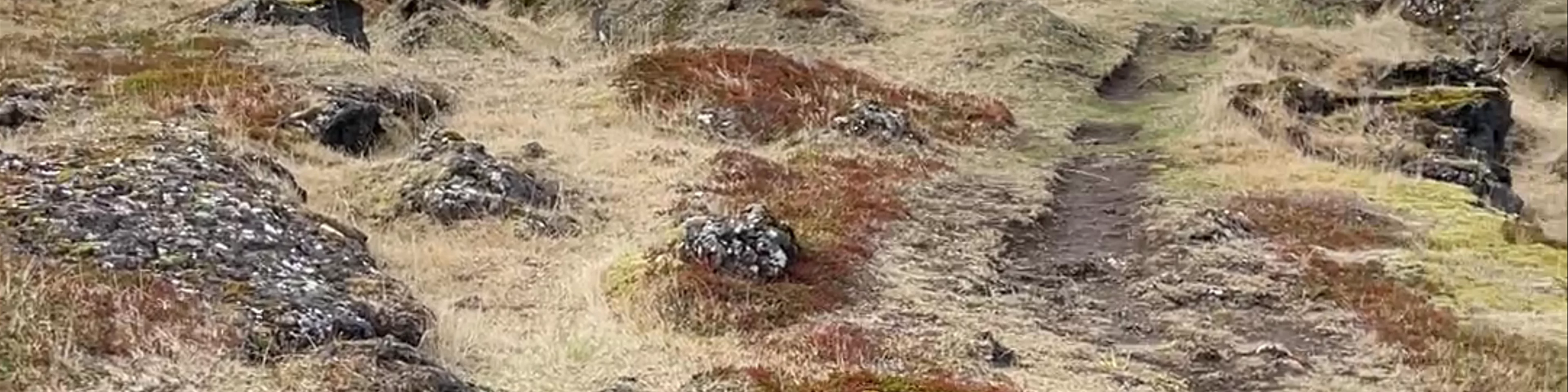 Búðakirkja