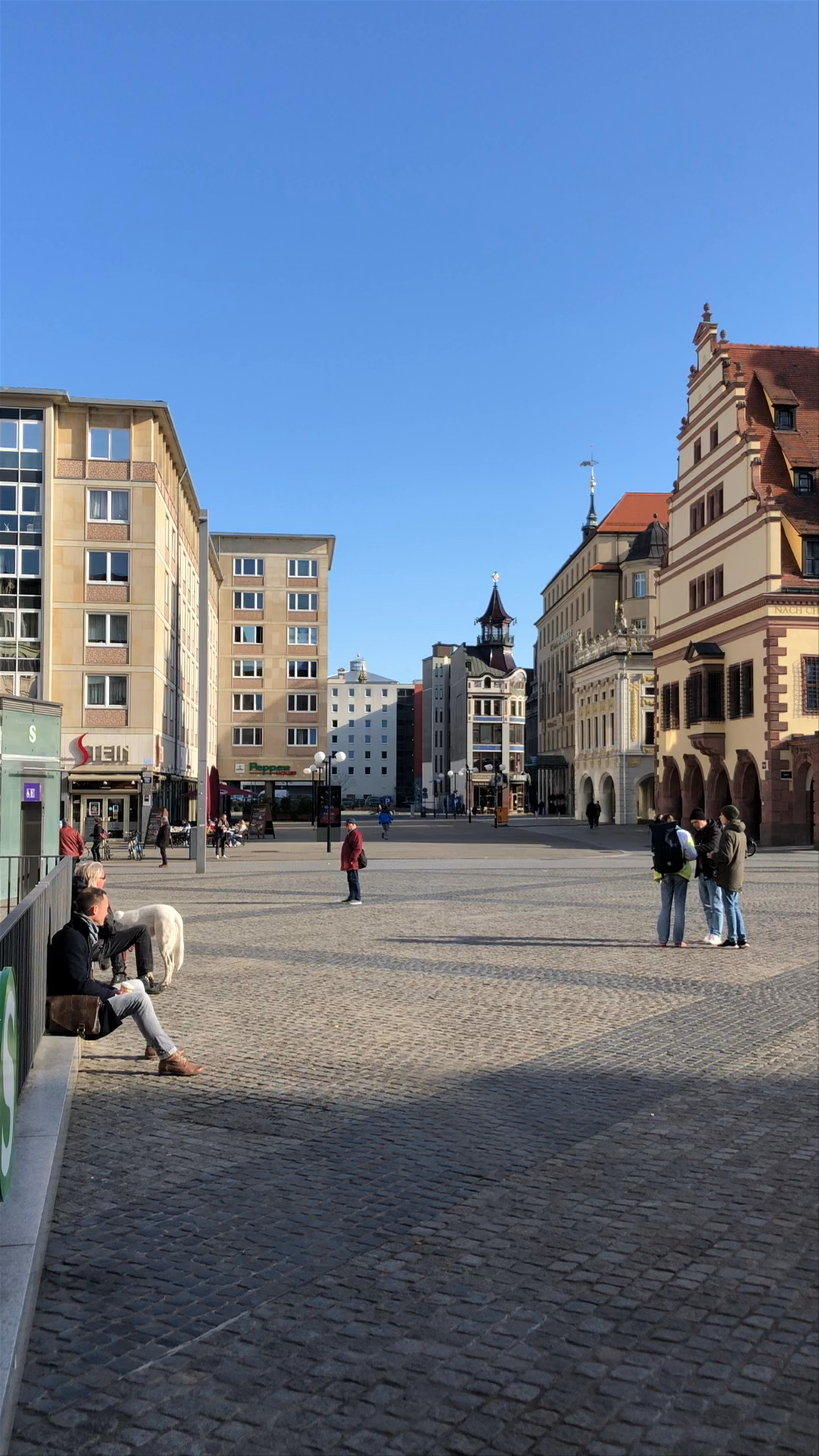 Altes Rathaus and Market Square - Historic Heart of Leipzig