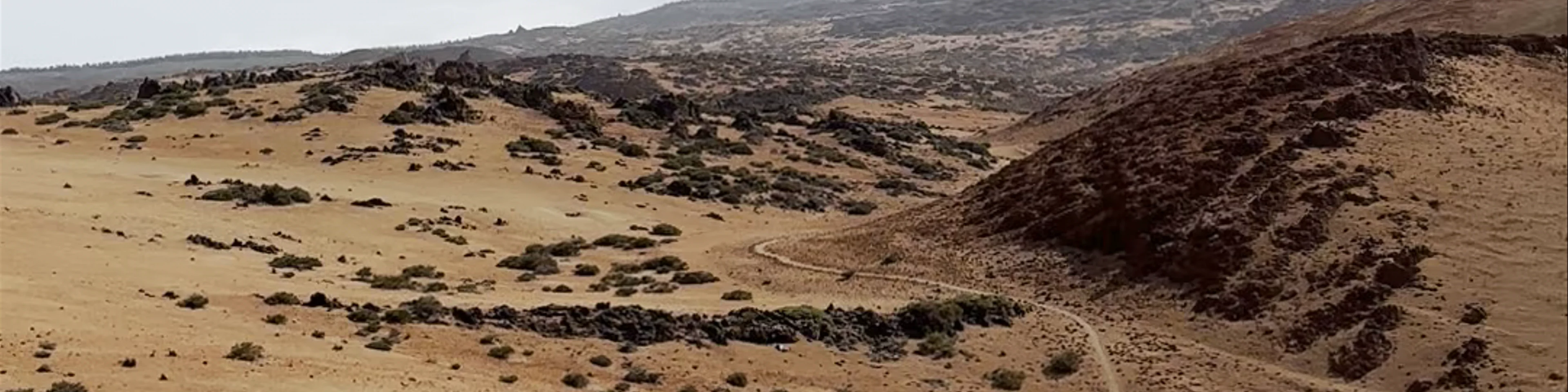 Parque Nacional del Teide