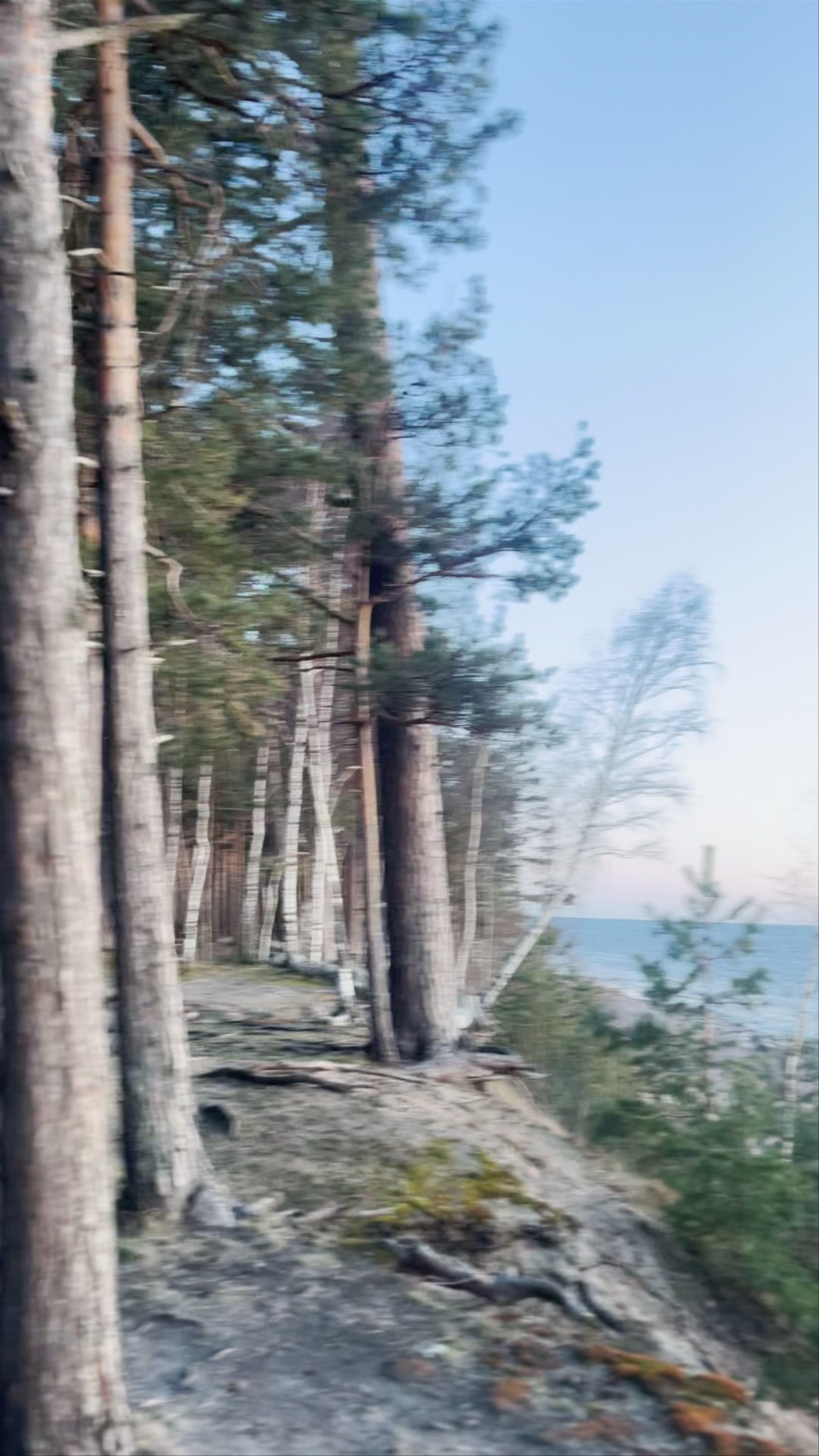 Vidzemes akmeņainā jūrmala