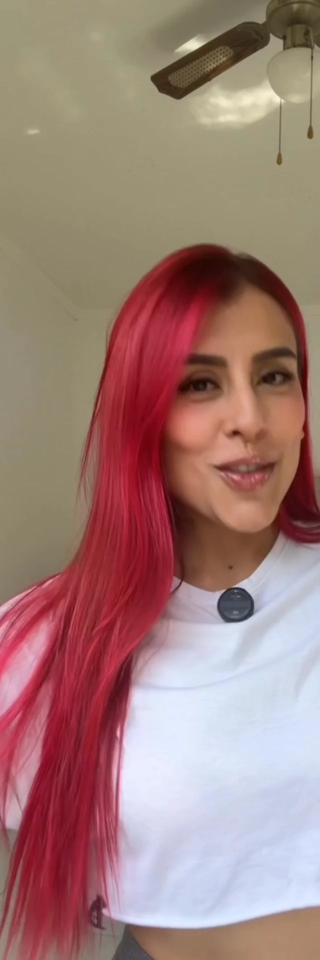 Contenido del creador