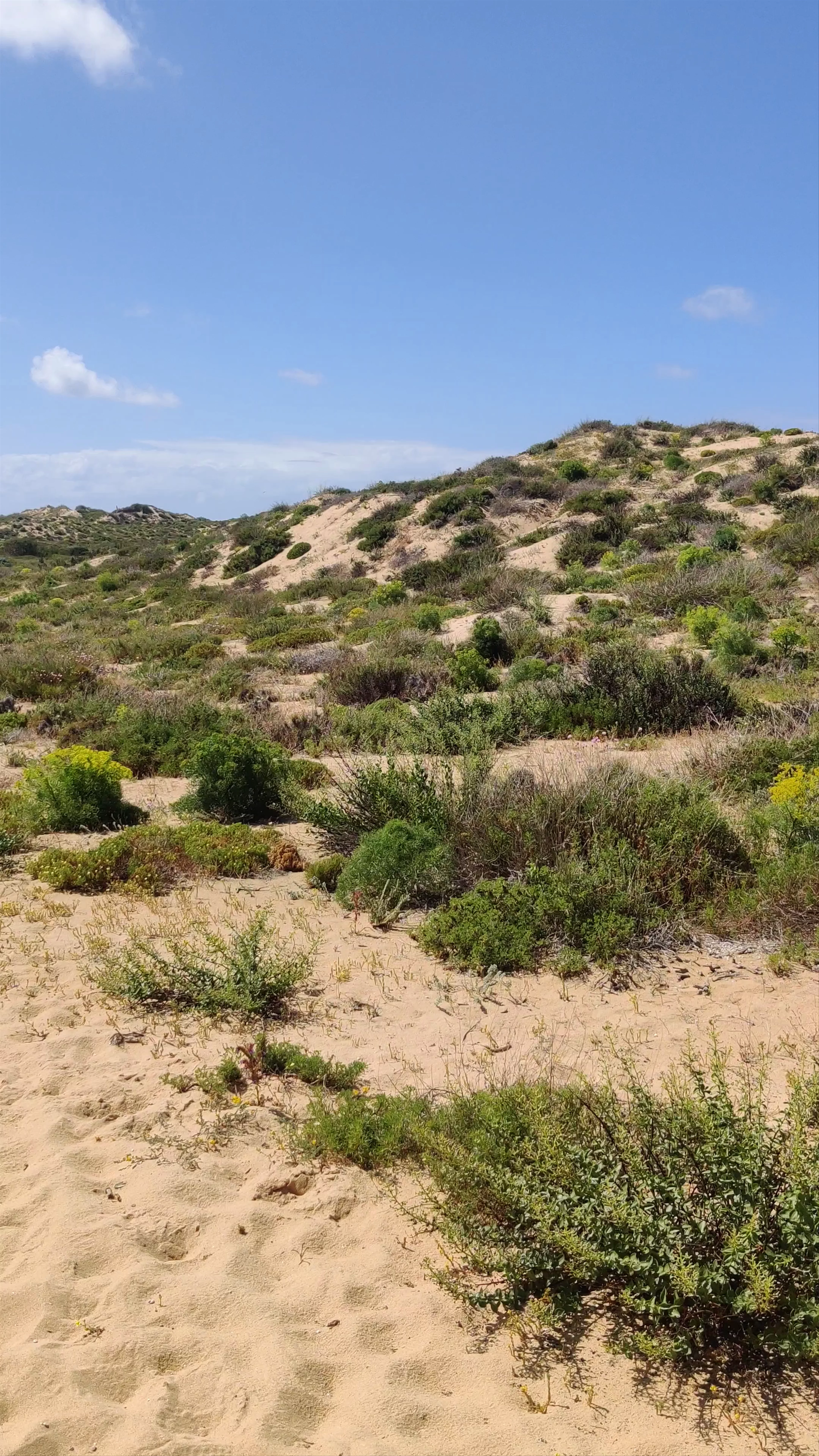 Parco Naturale del sud-ovest dell'Alentejo e della Costa Vicentina, Rua Serpa Pinto, 32, Odemira, Portugal