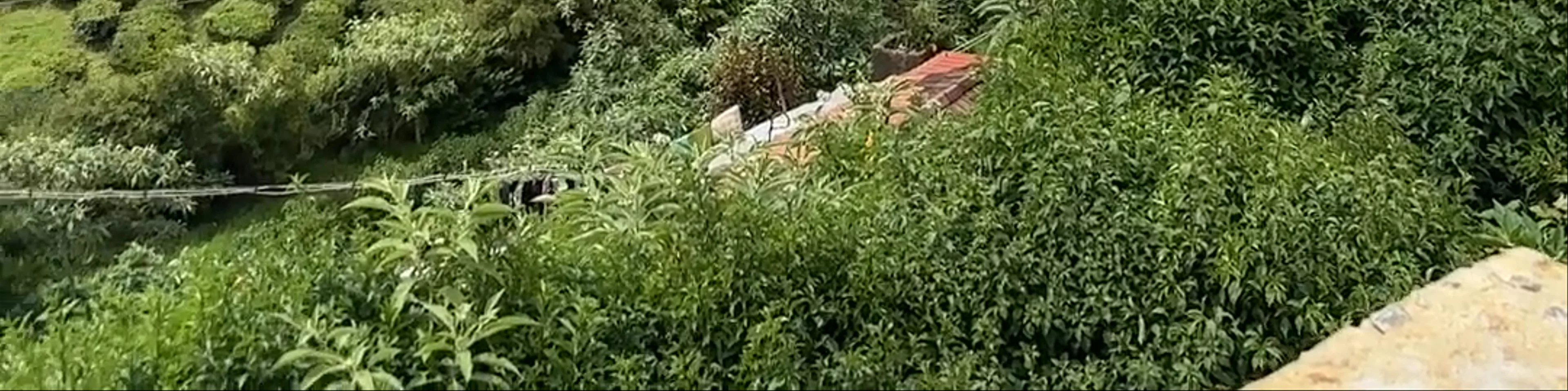 TEA GARDEN