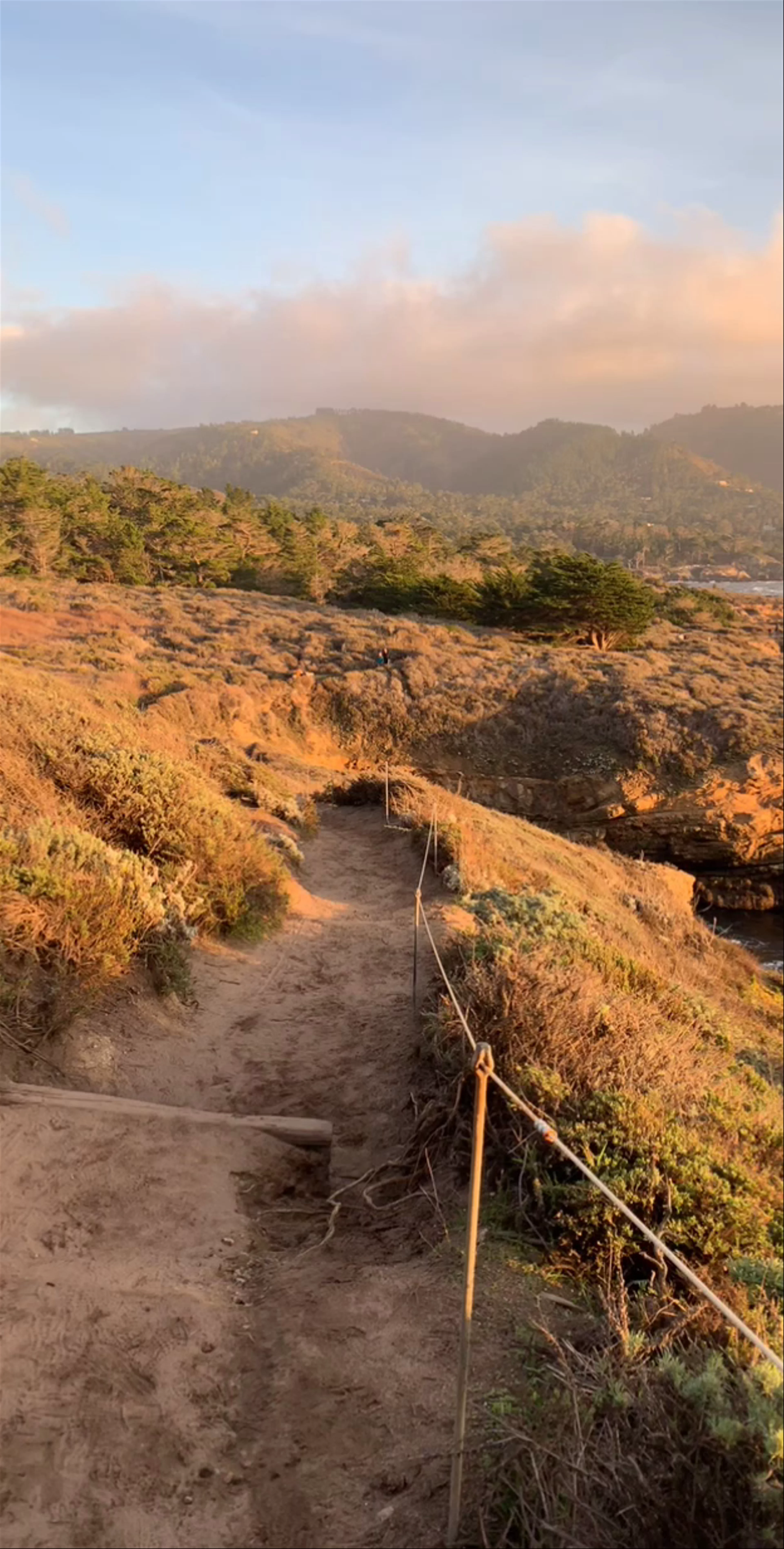 Point Lobos State Natural Reserve