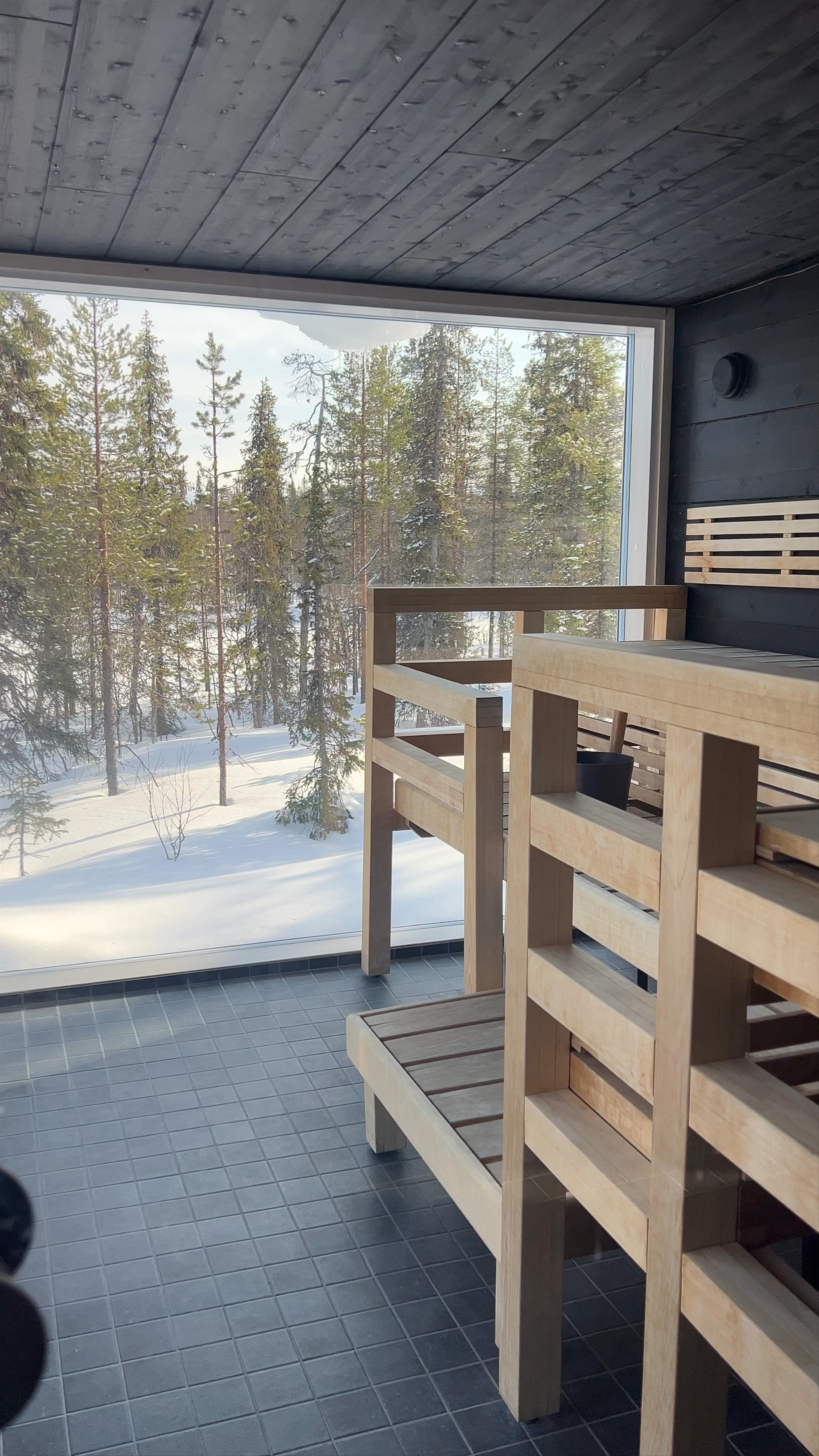 Finnish Sauna with Scenic Winter Forest Views in Helsinki